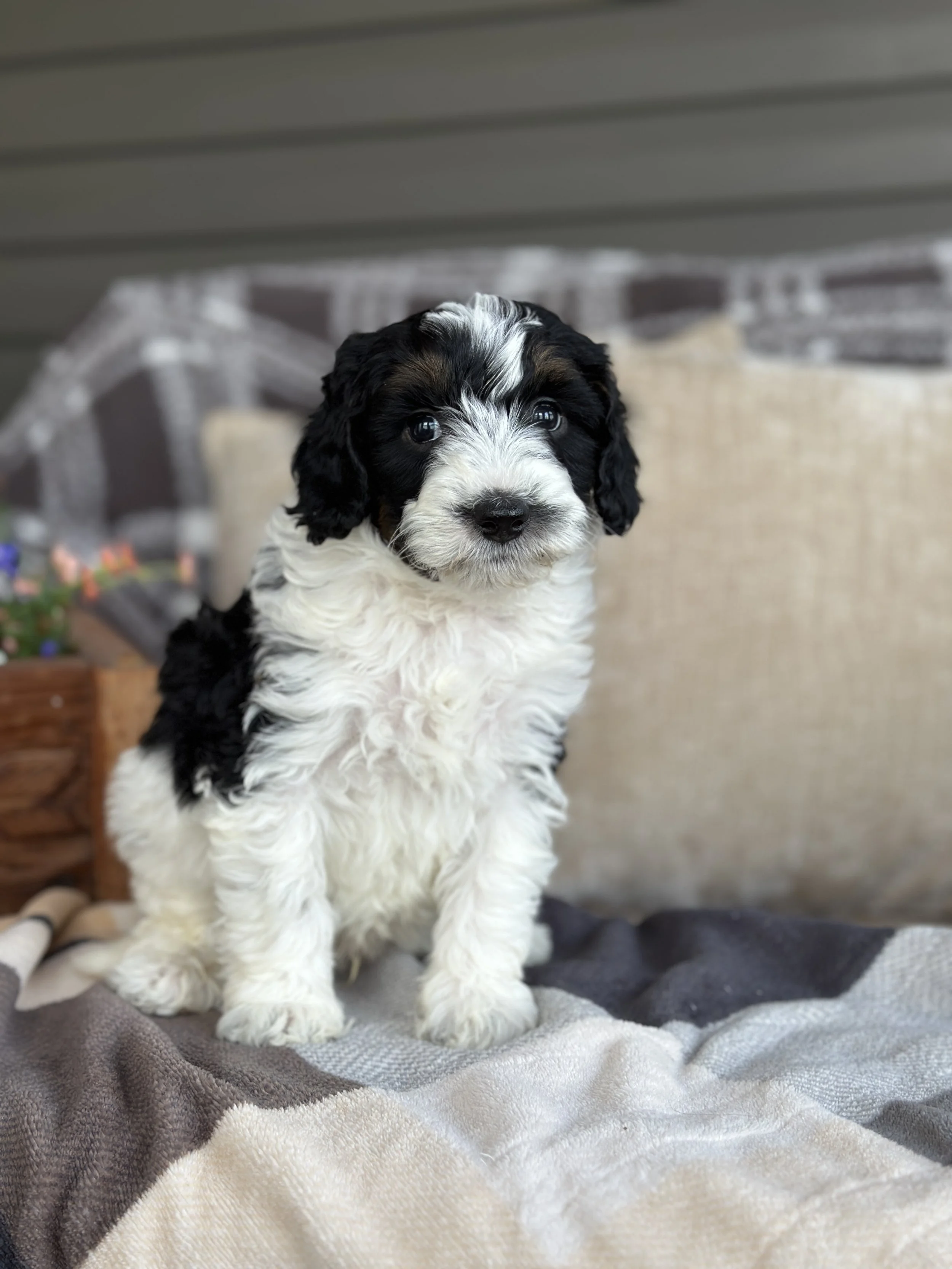 BASH NEW IMG_8769.jpg