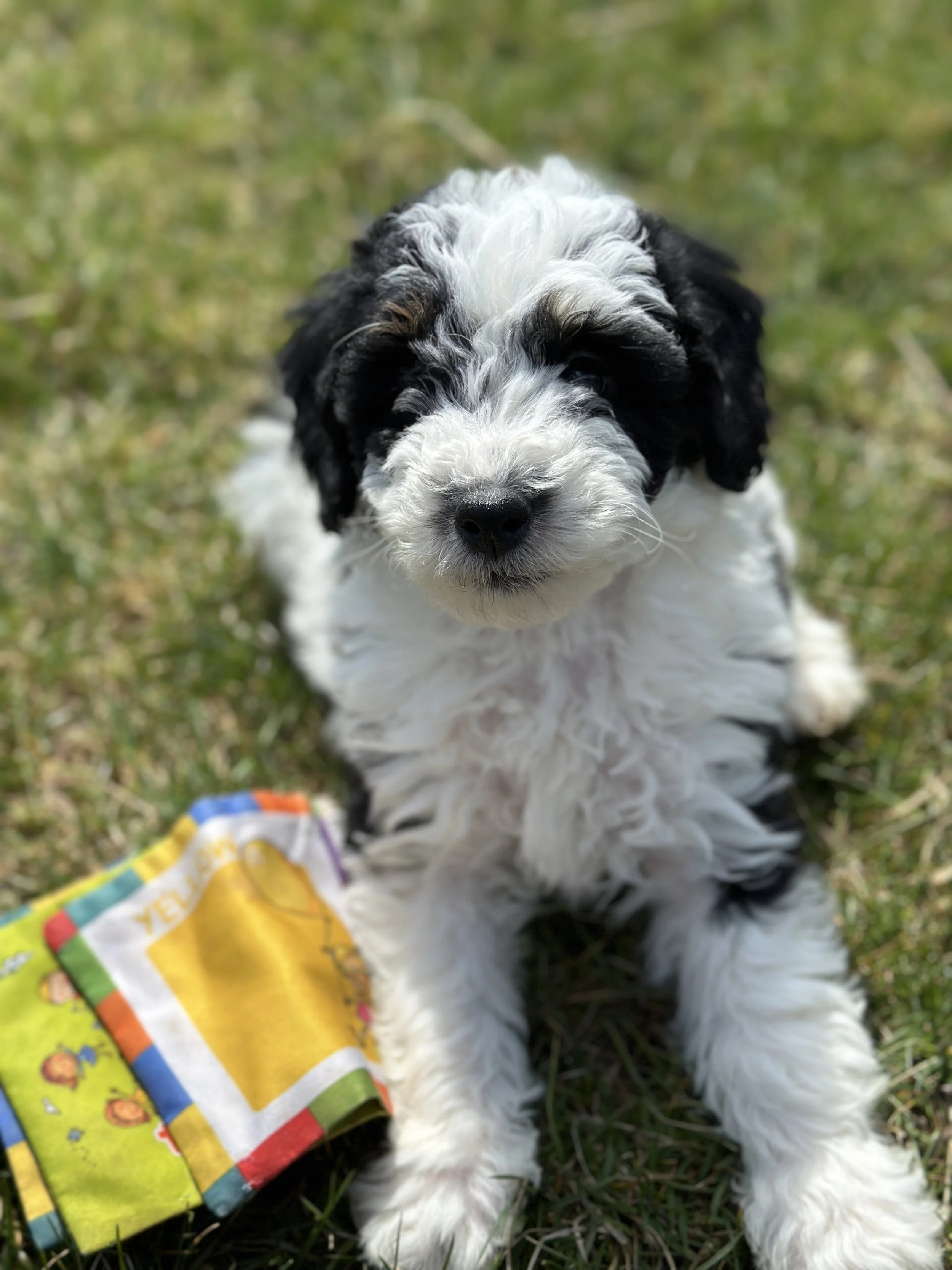 miller new IMG_9057.jpg