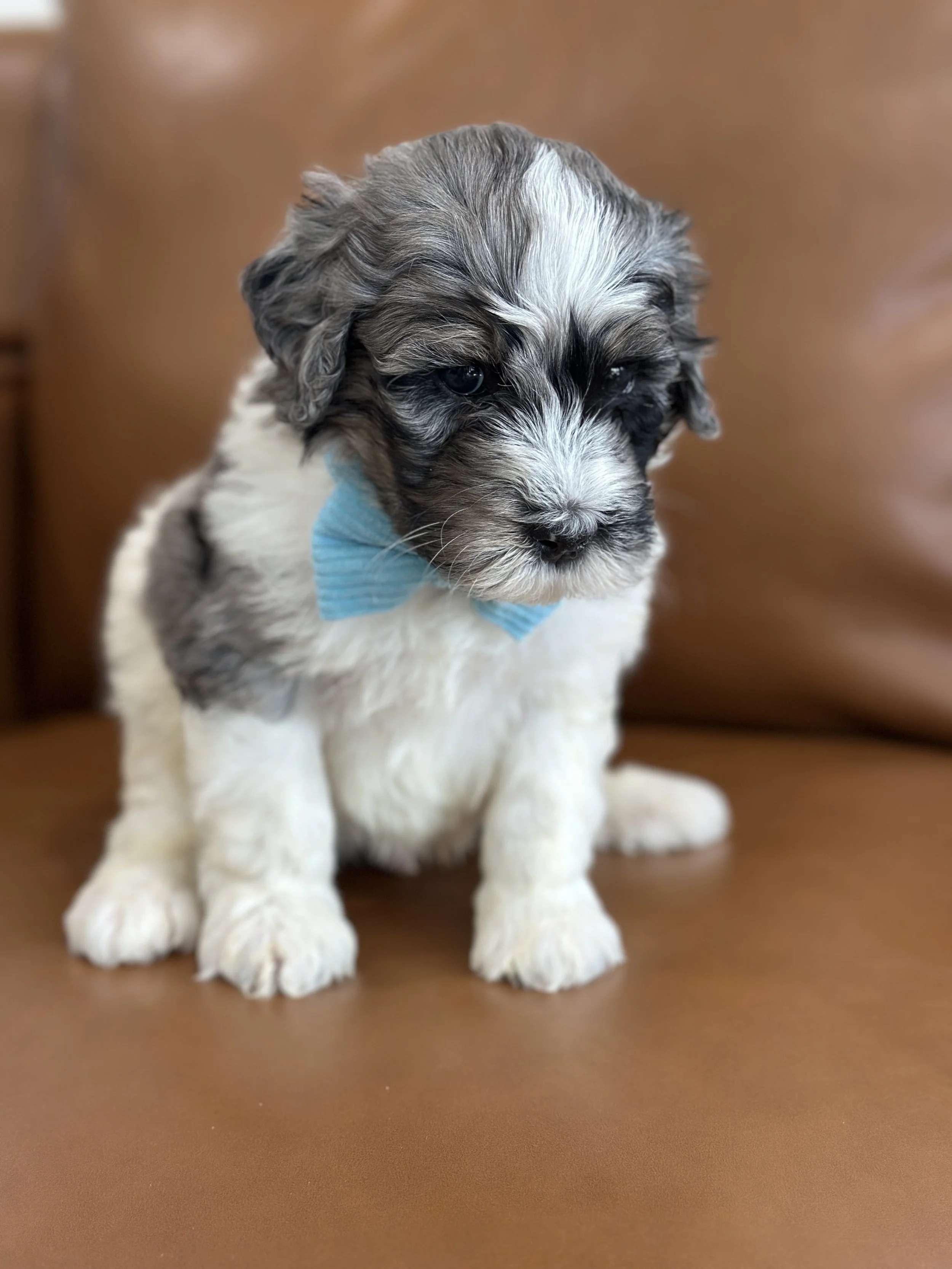 winnieIMG_0577.jpg