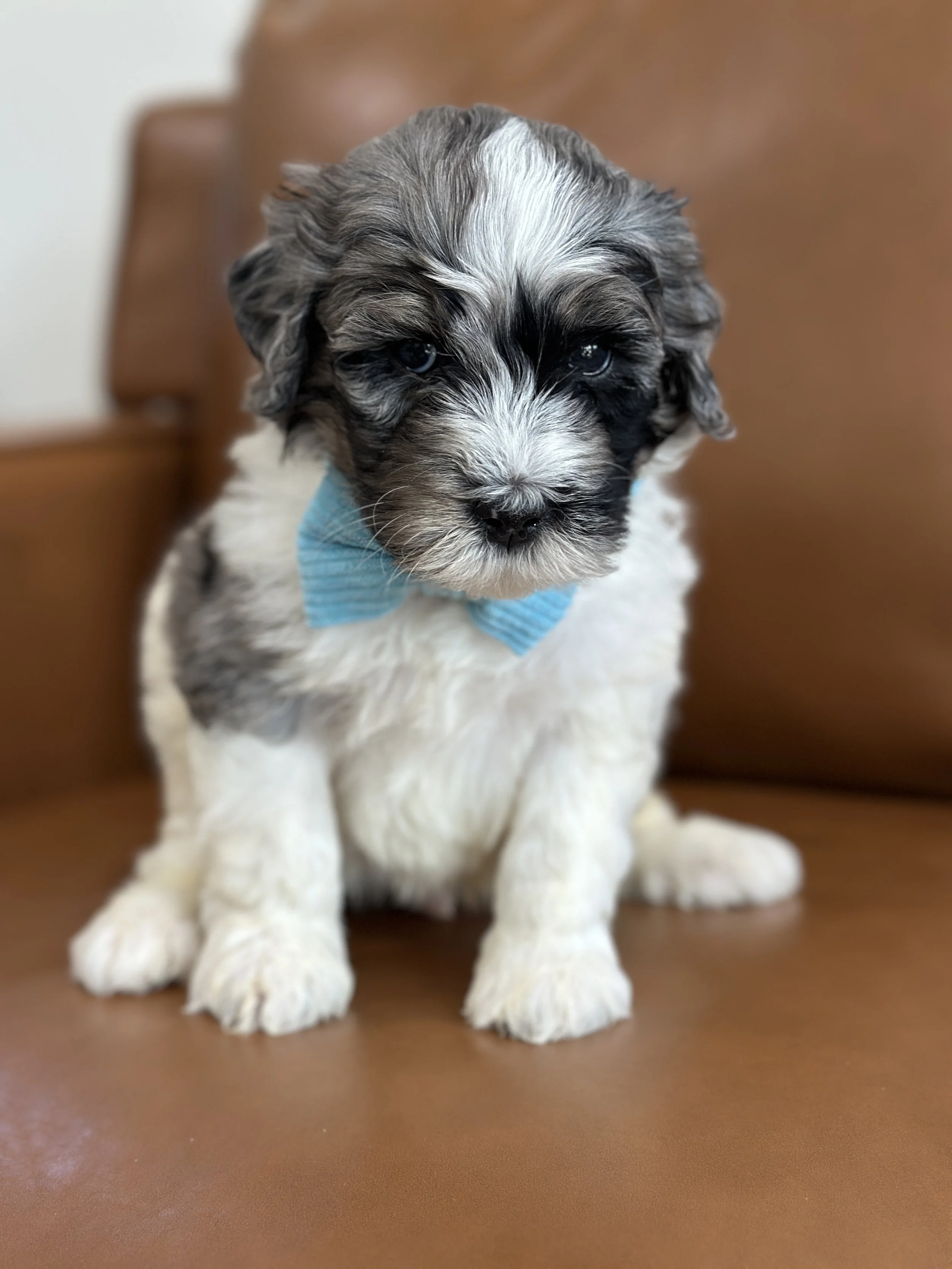 winnieIMG_0578.jpg