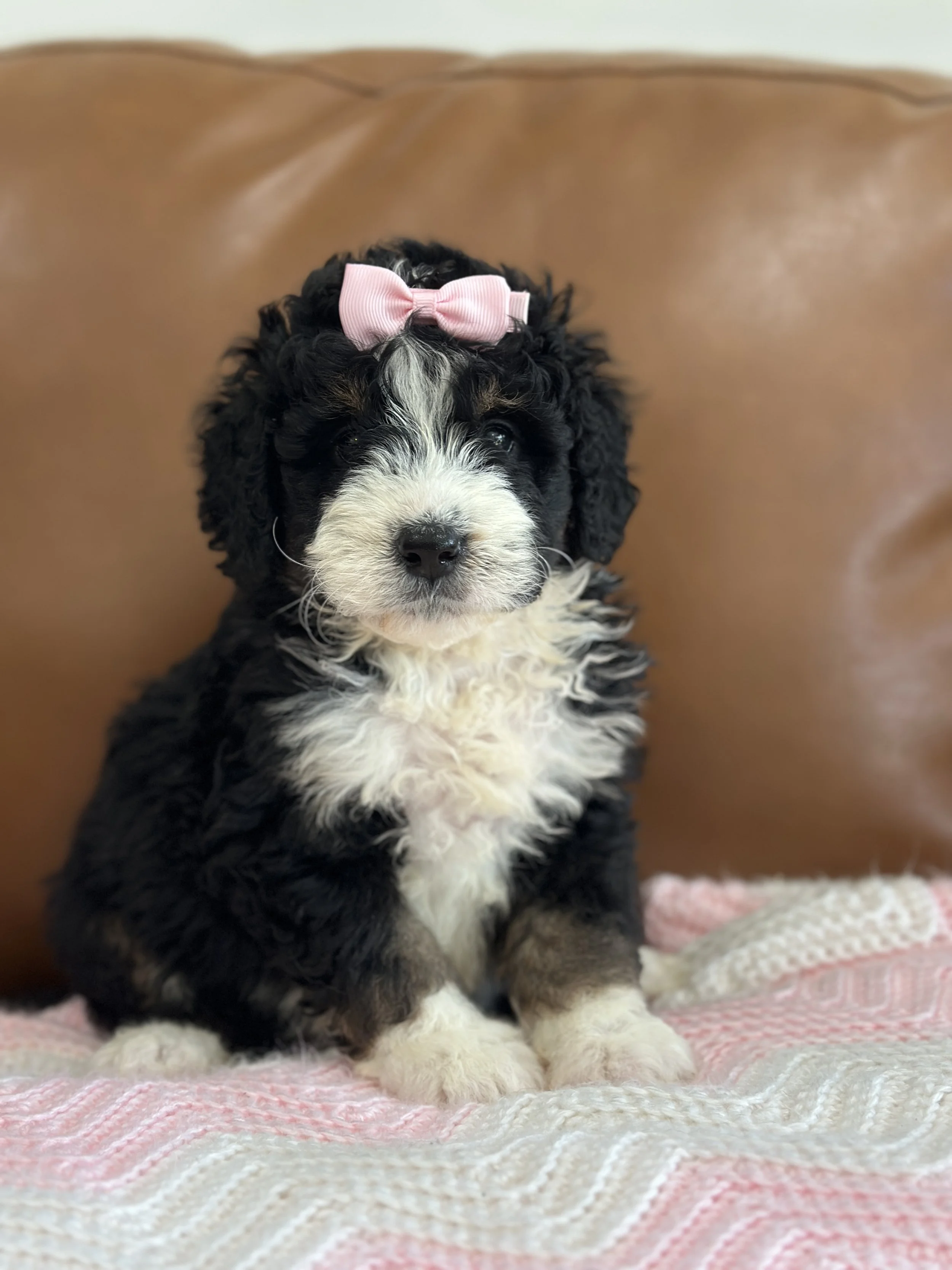 hermioneIMG_0495.jpg