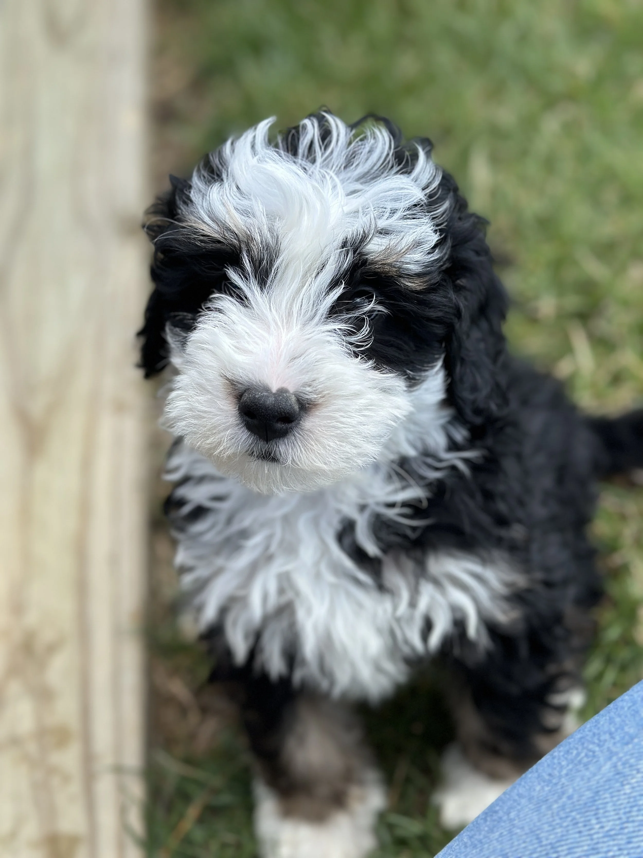 wells newIMG_9040.jpg