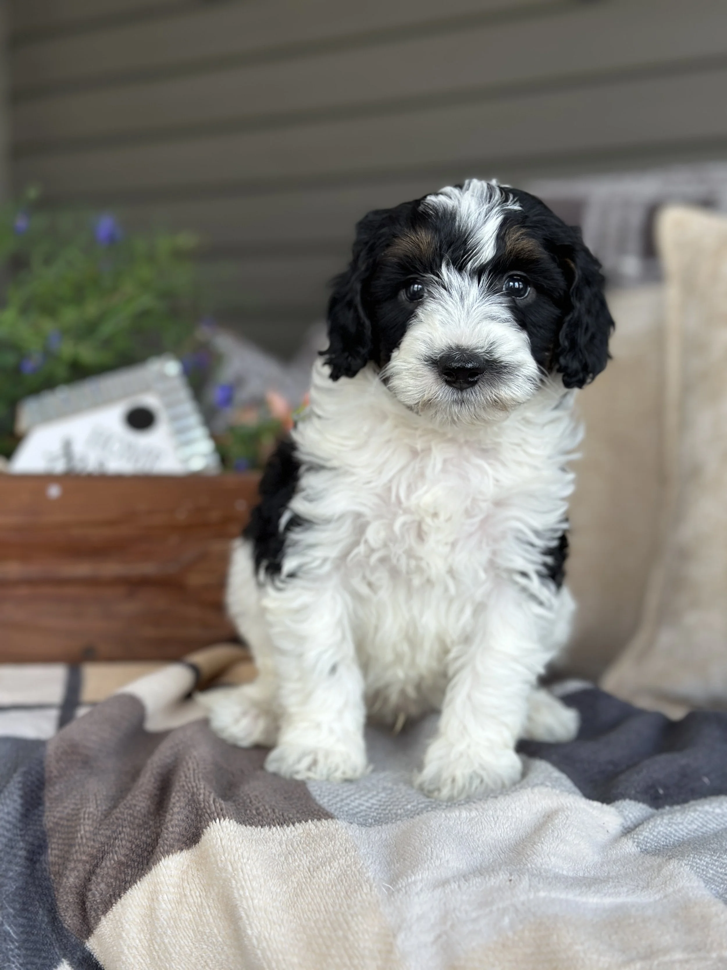 BASH NEW IMG_8770.jpg