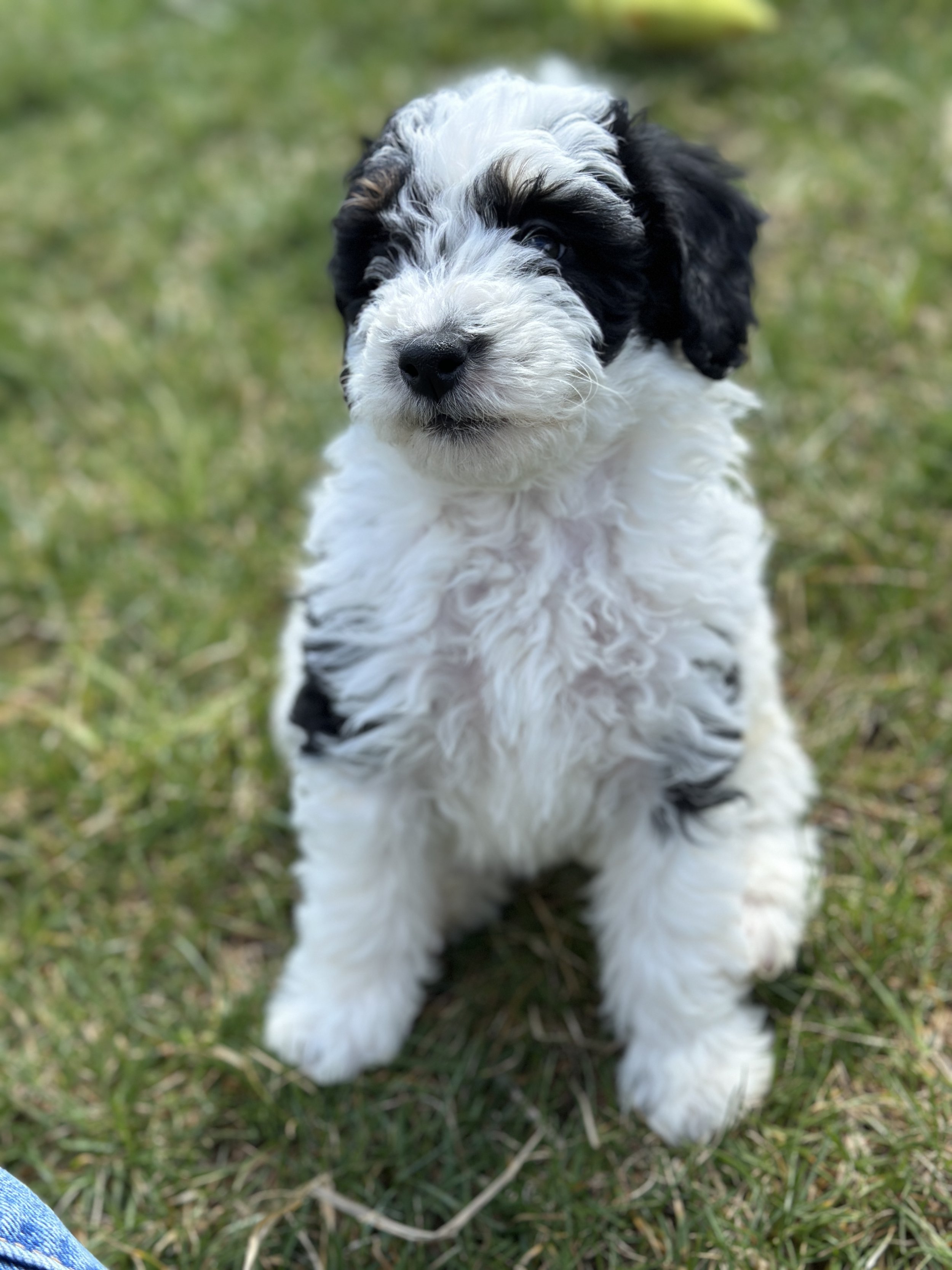 miller new IMG_9064.jpg