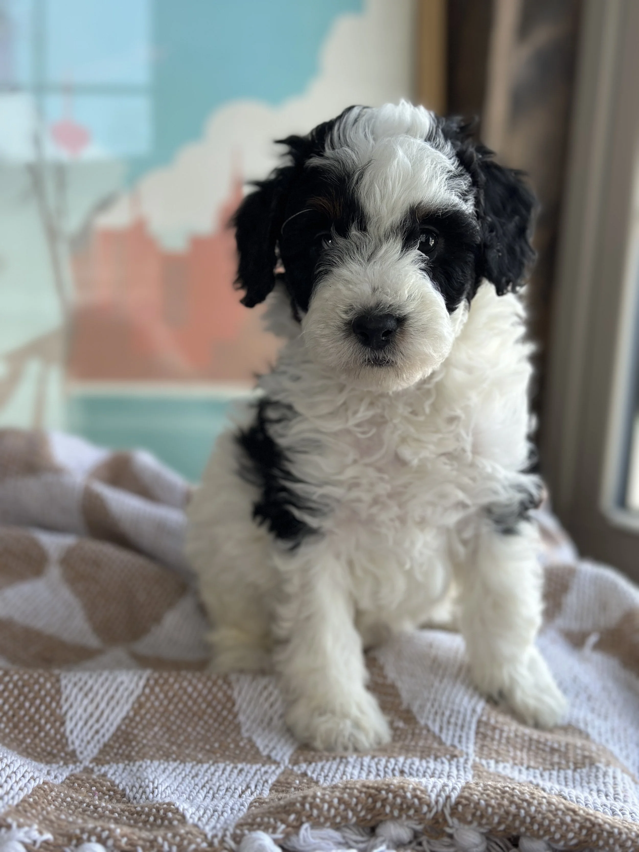 MILLER NEWIMG_8820.jpg