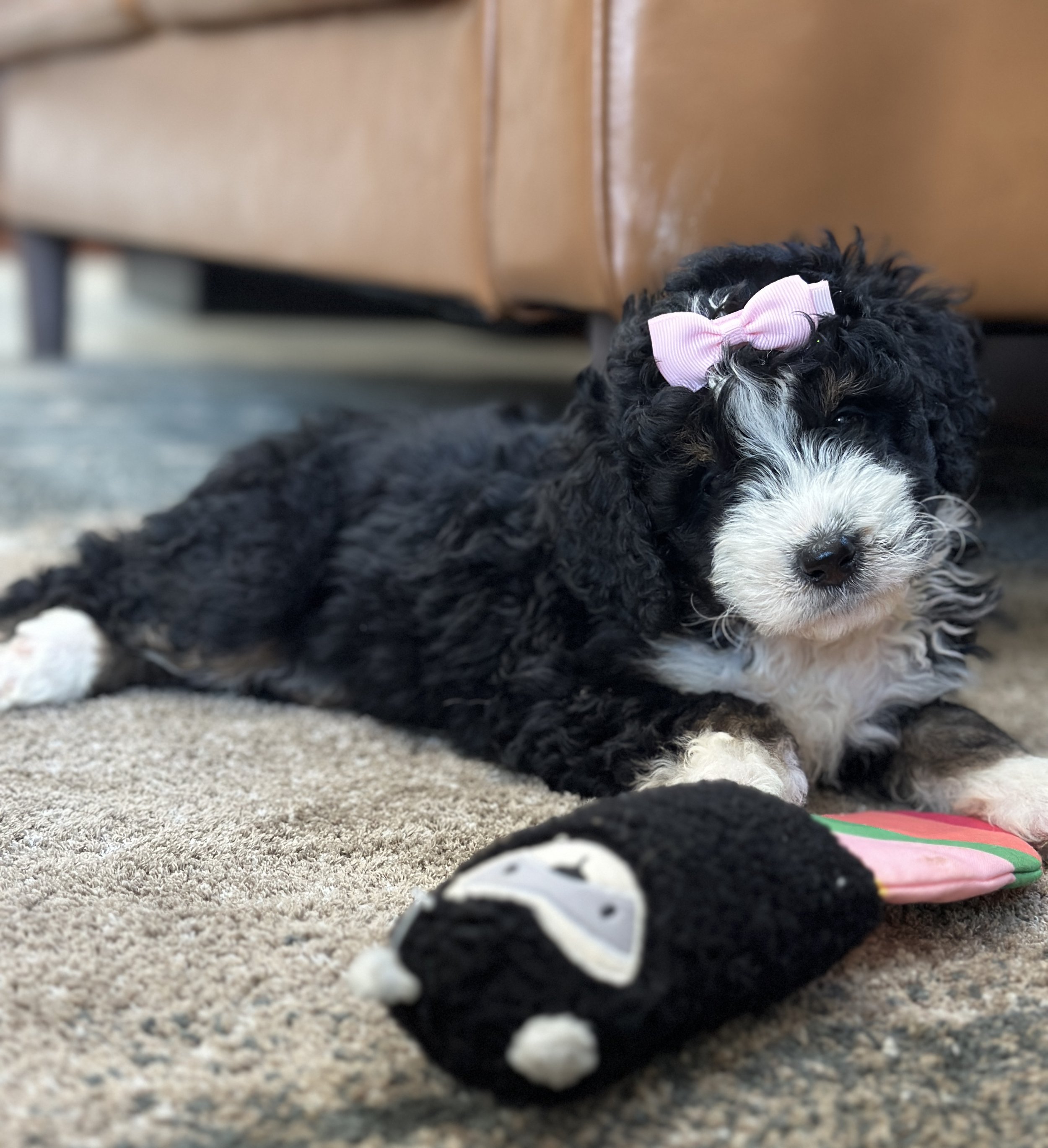 hermioneIMG_0510.jpg