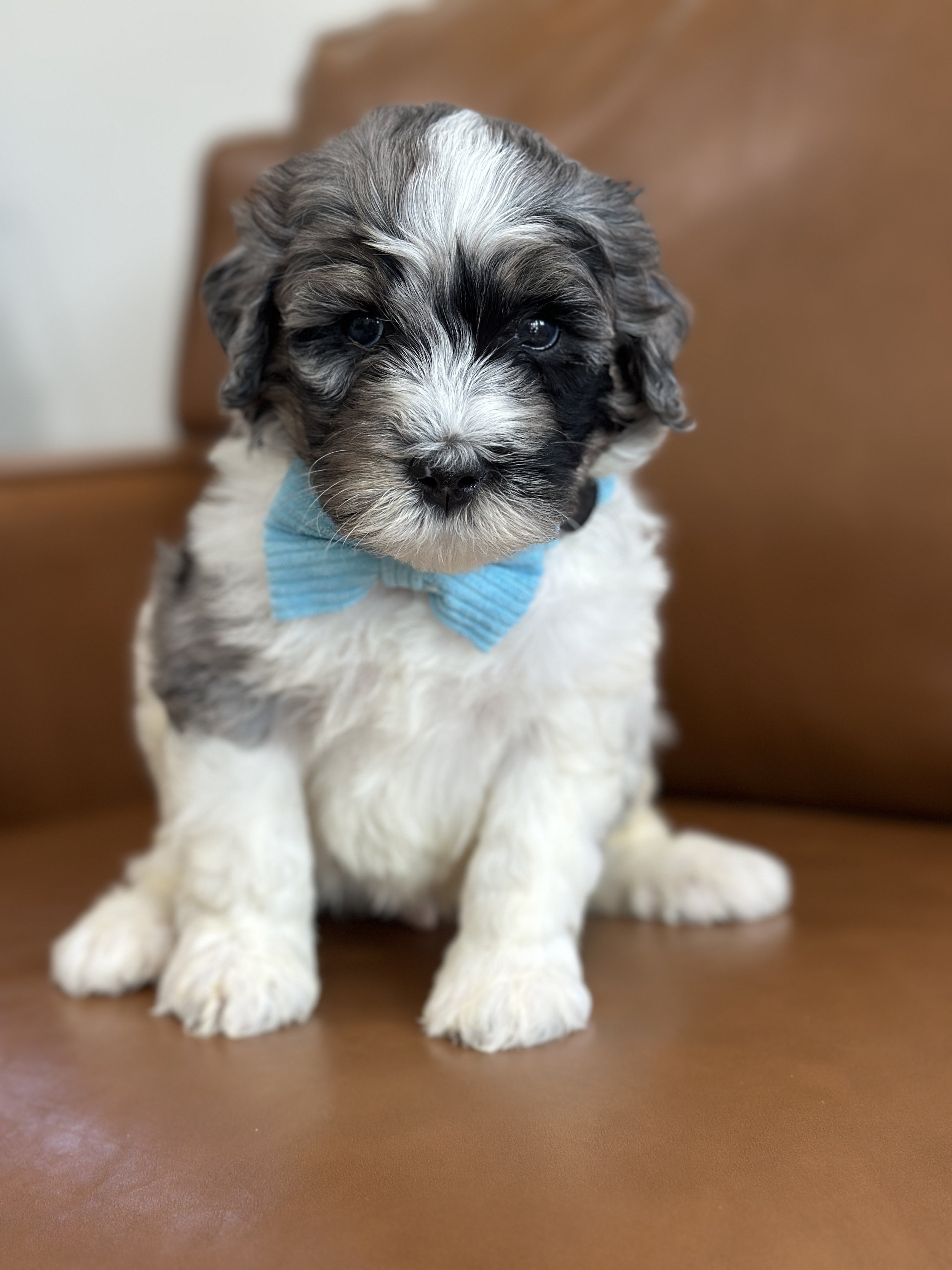 winnieIMG_0580.jpg