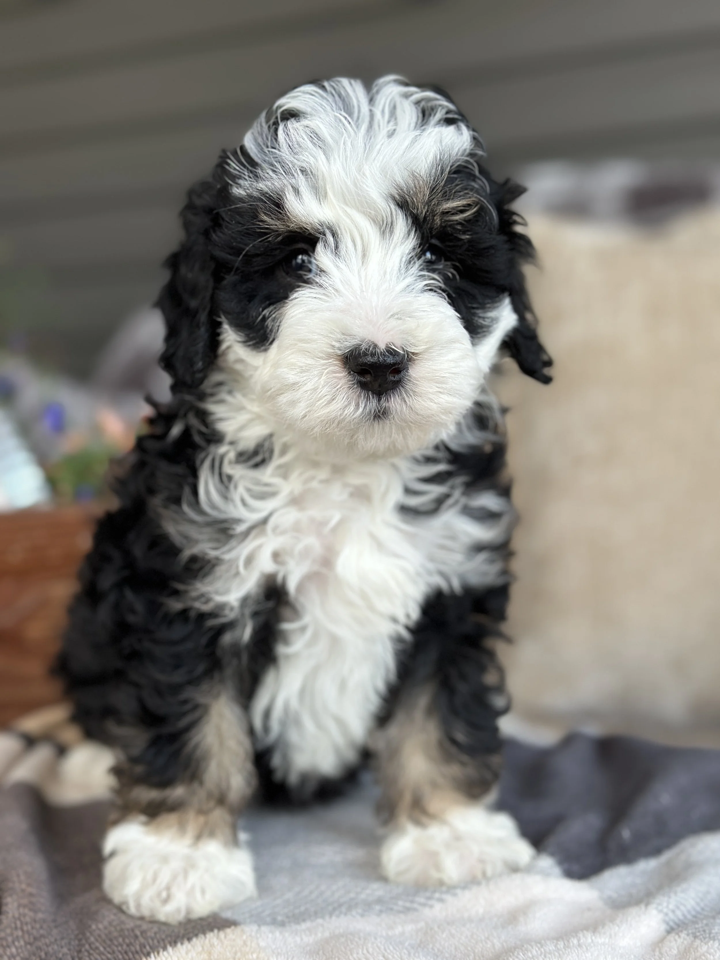 WELLS NEWIMG_8800.jpg