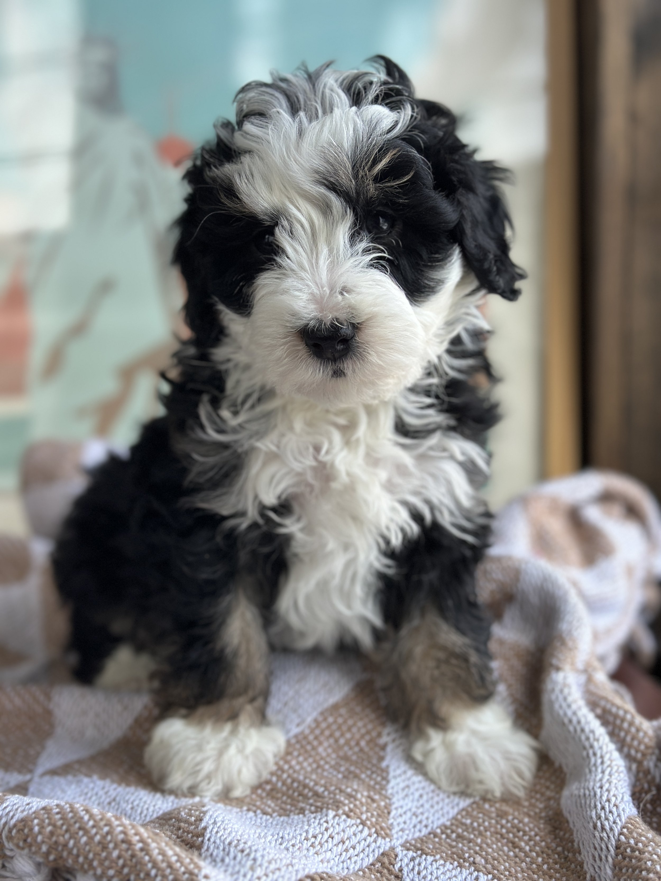 WELLS NEWIMG_8796.jpg