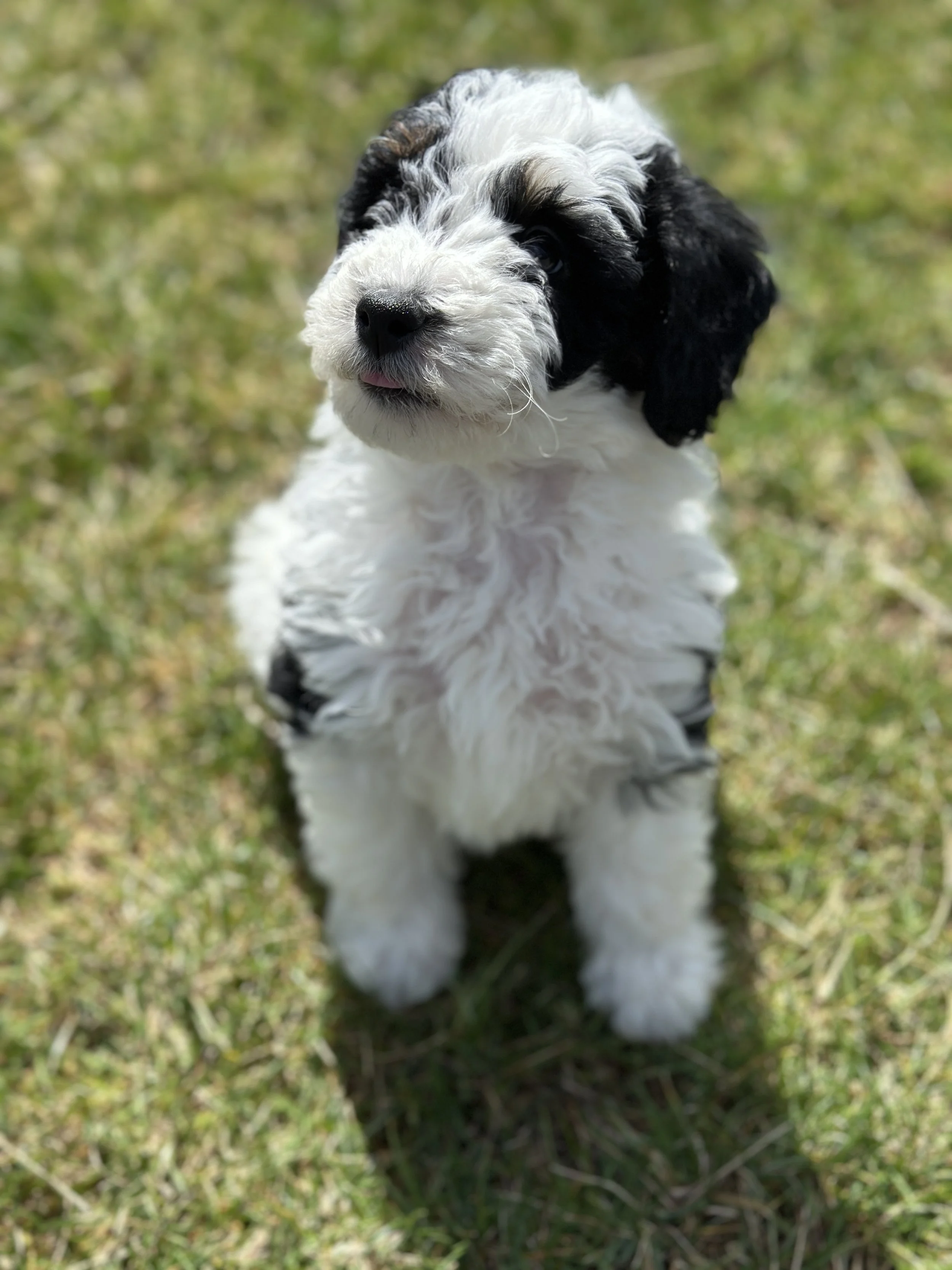 miller new IMG_9059.jpg