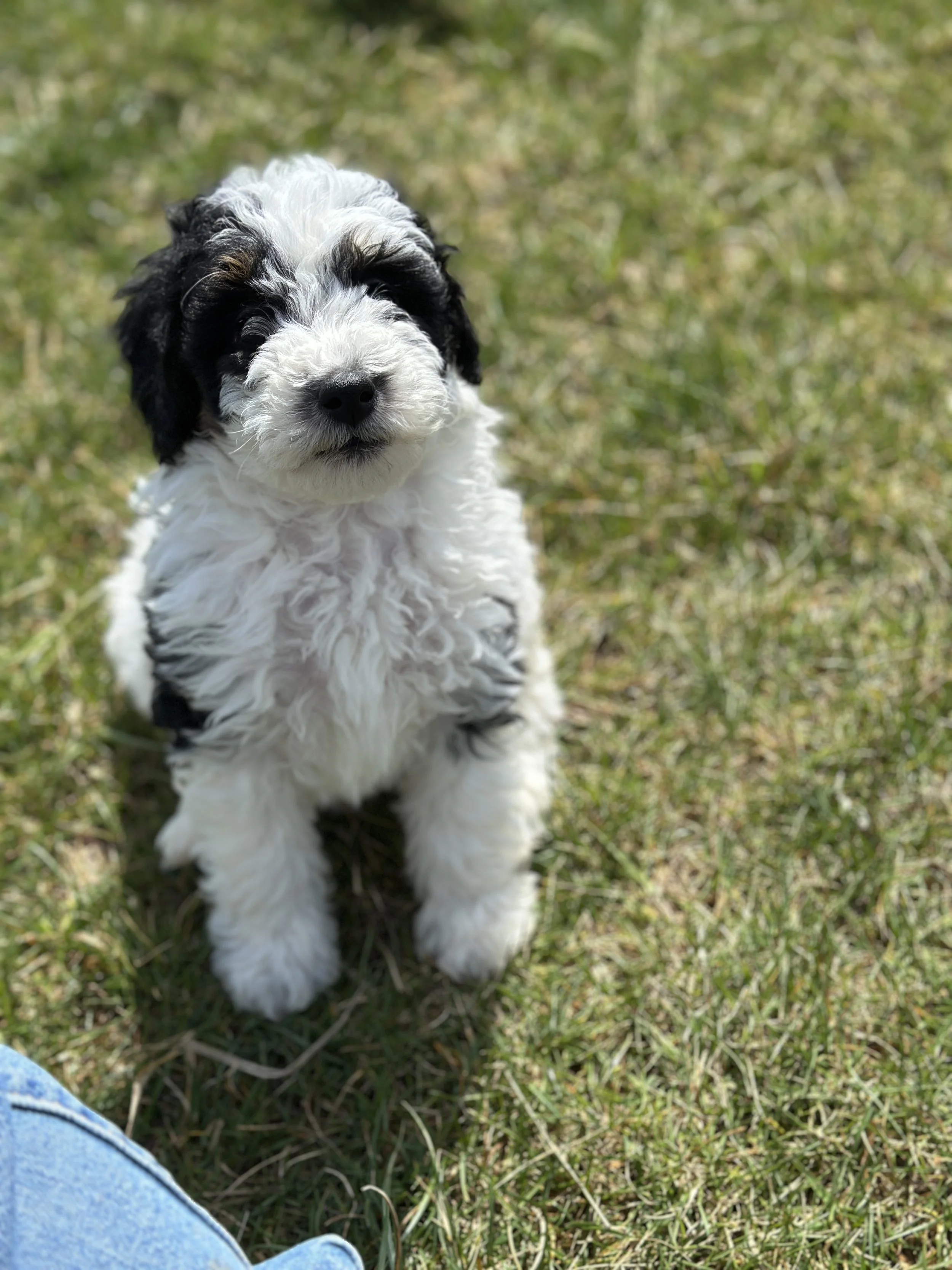 miller new IMG_9061.jpg