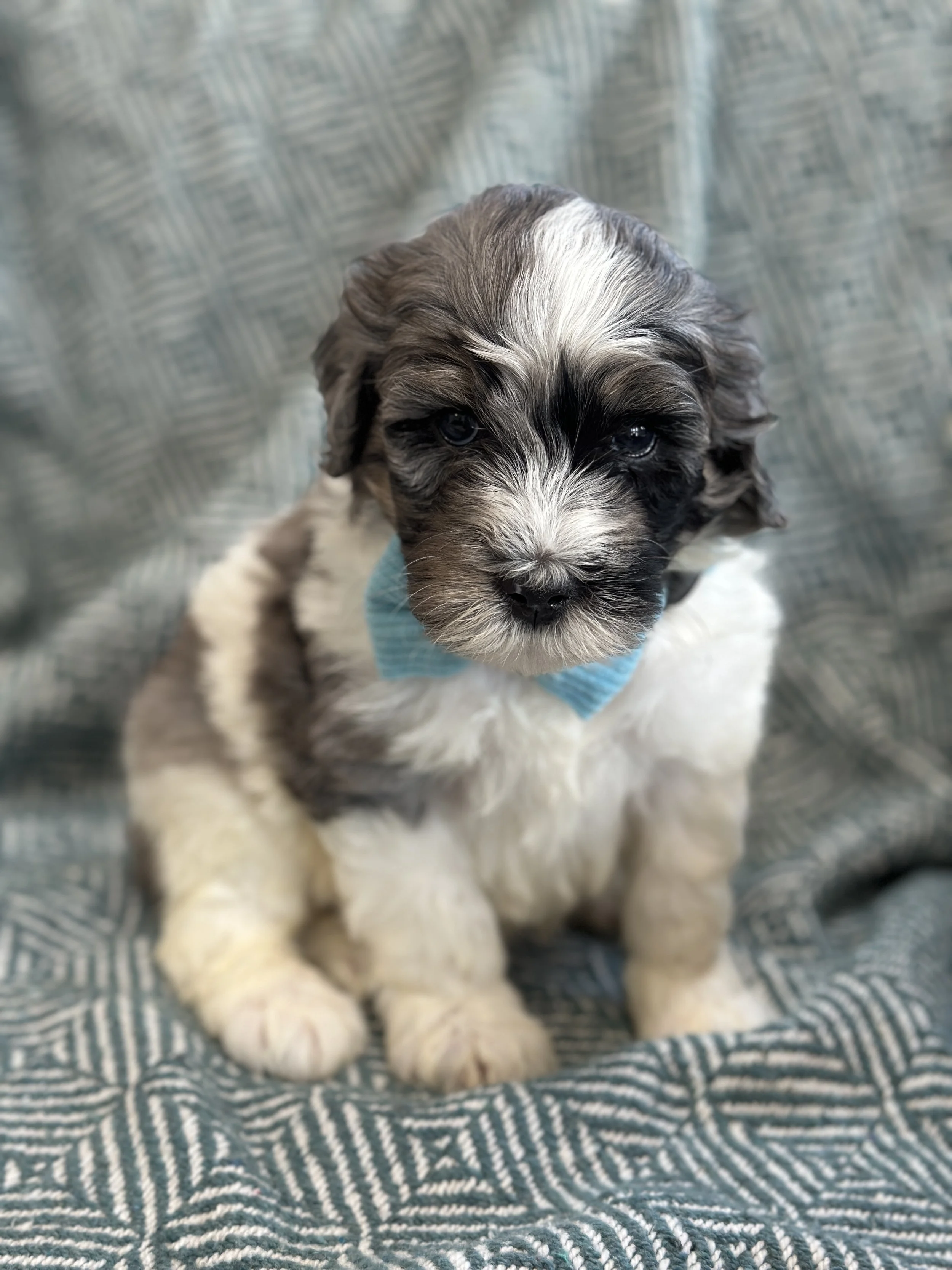 winnieIMG_0582.jpg