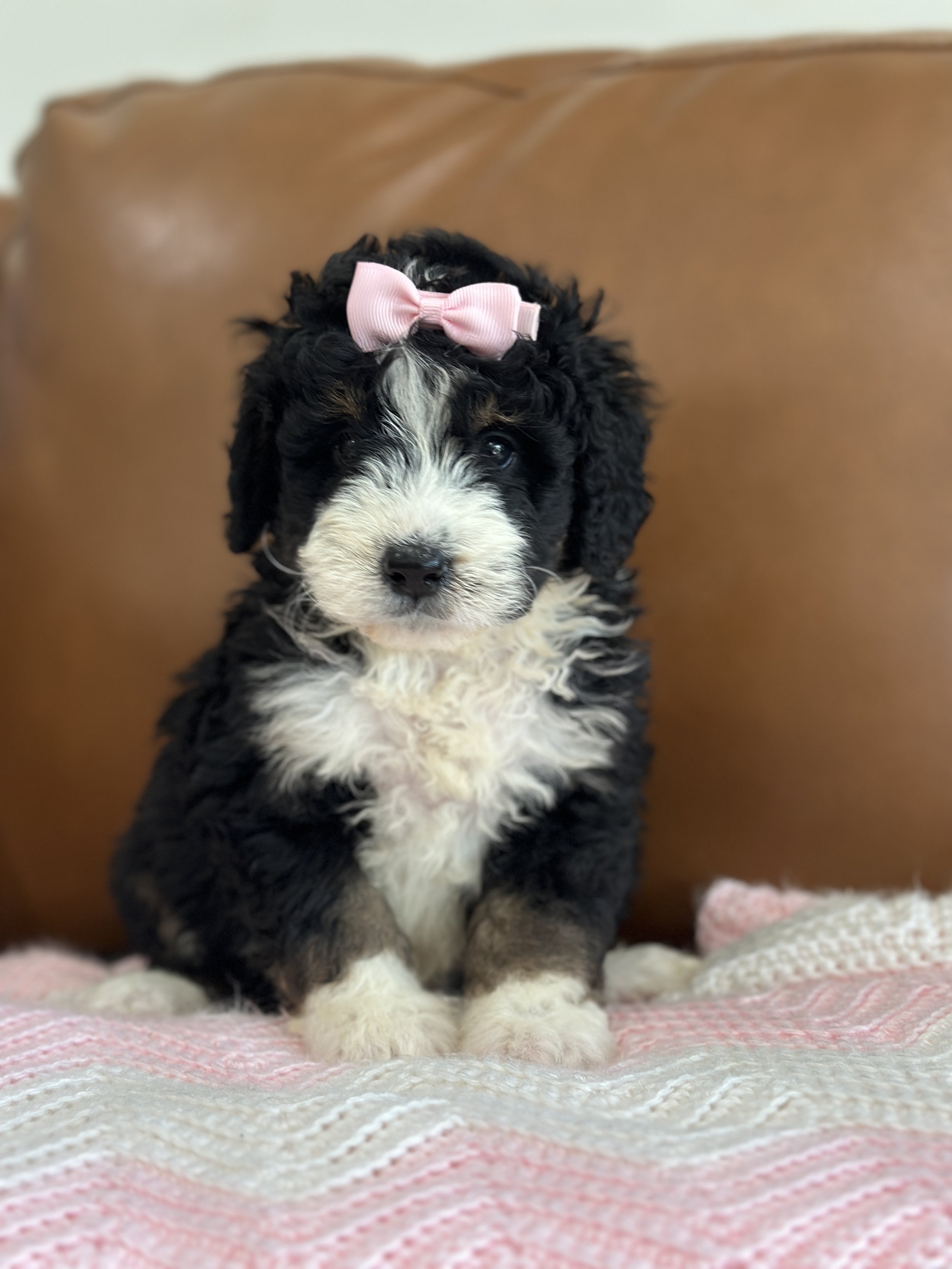 hermioneIMG_0494.jpg