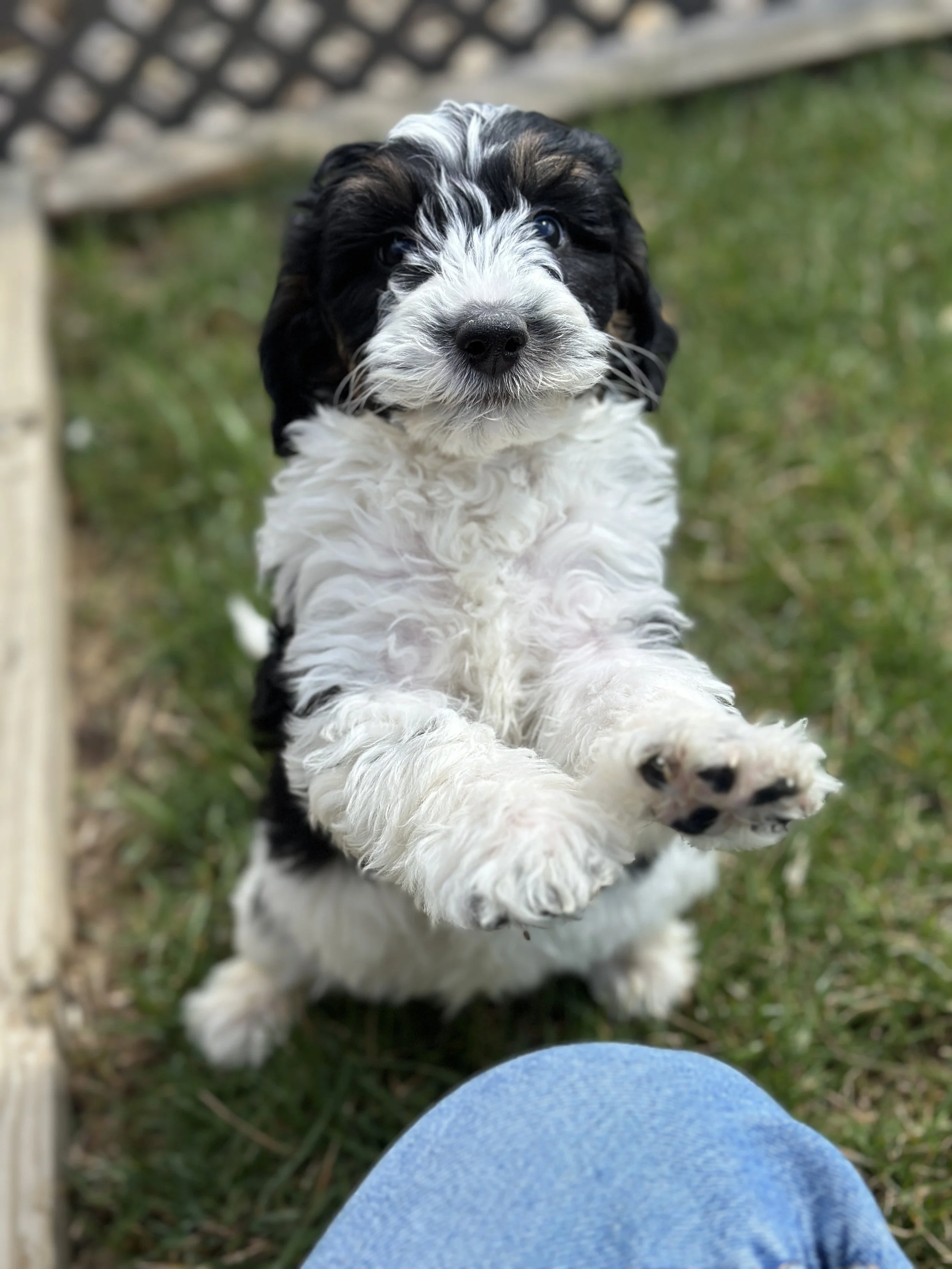 bash newIMG_9016.jpg