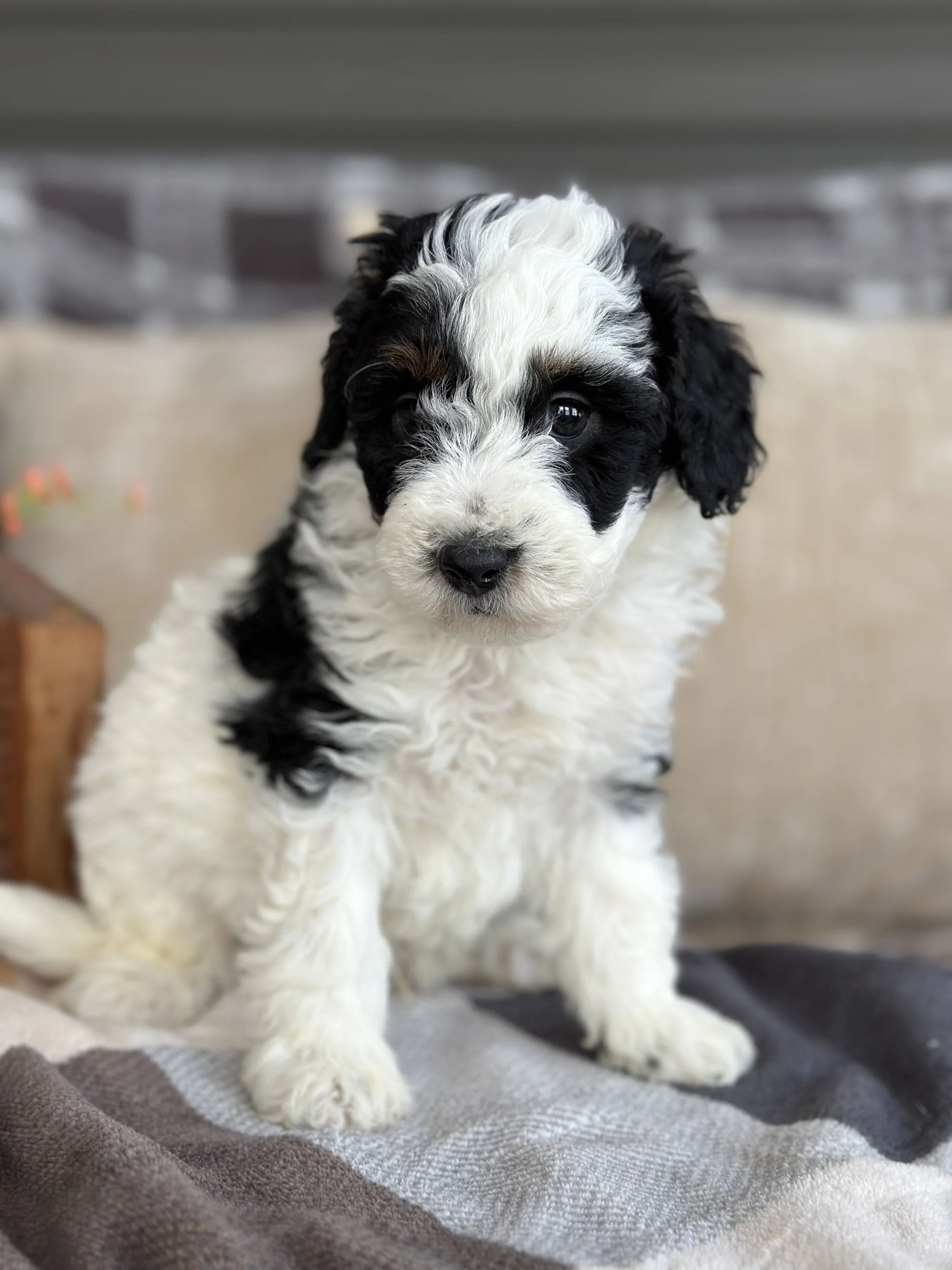 MILLER NEWIMG_8827.jpg