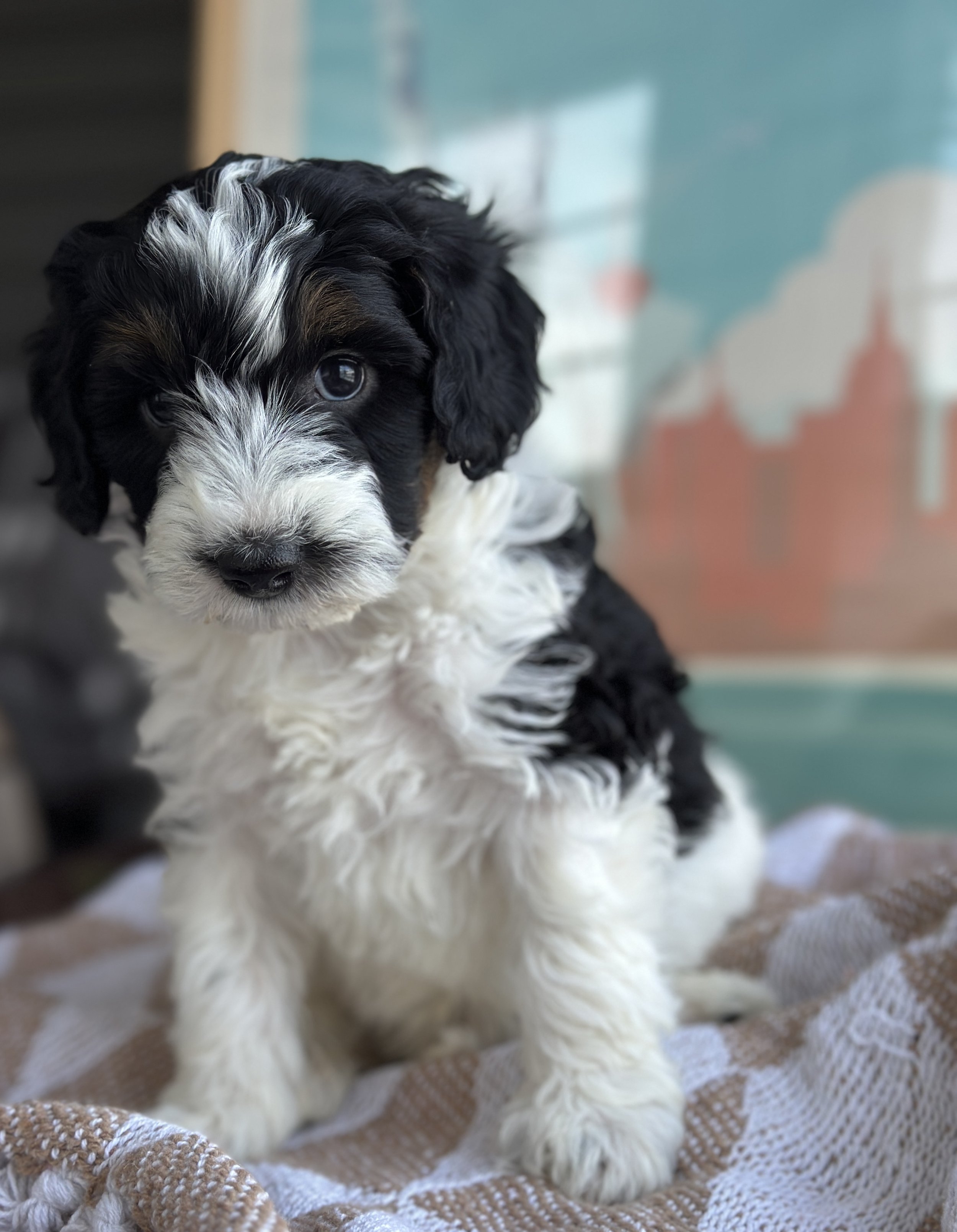 BASH NEW IMG_8764.jpg