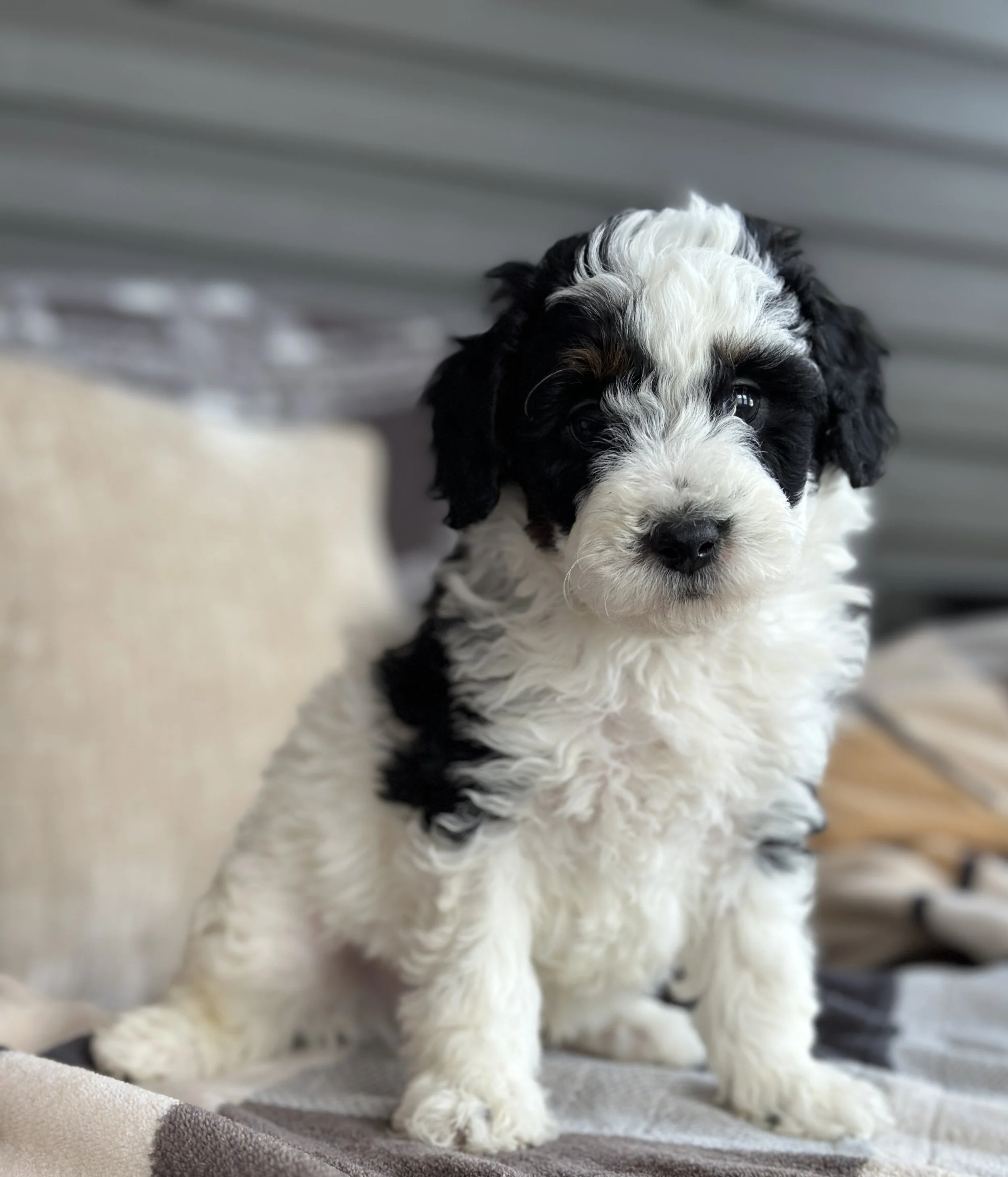 MILLER NEWIMG_8830.jpg