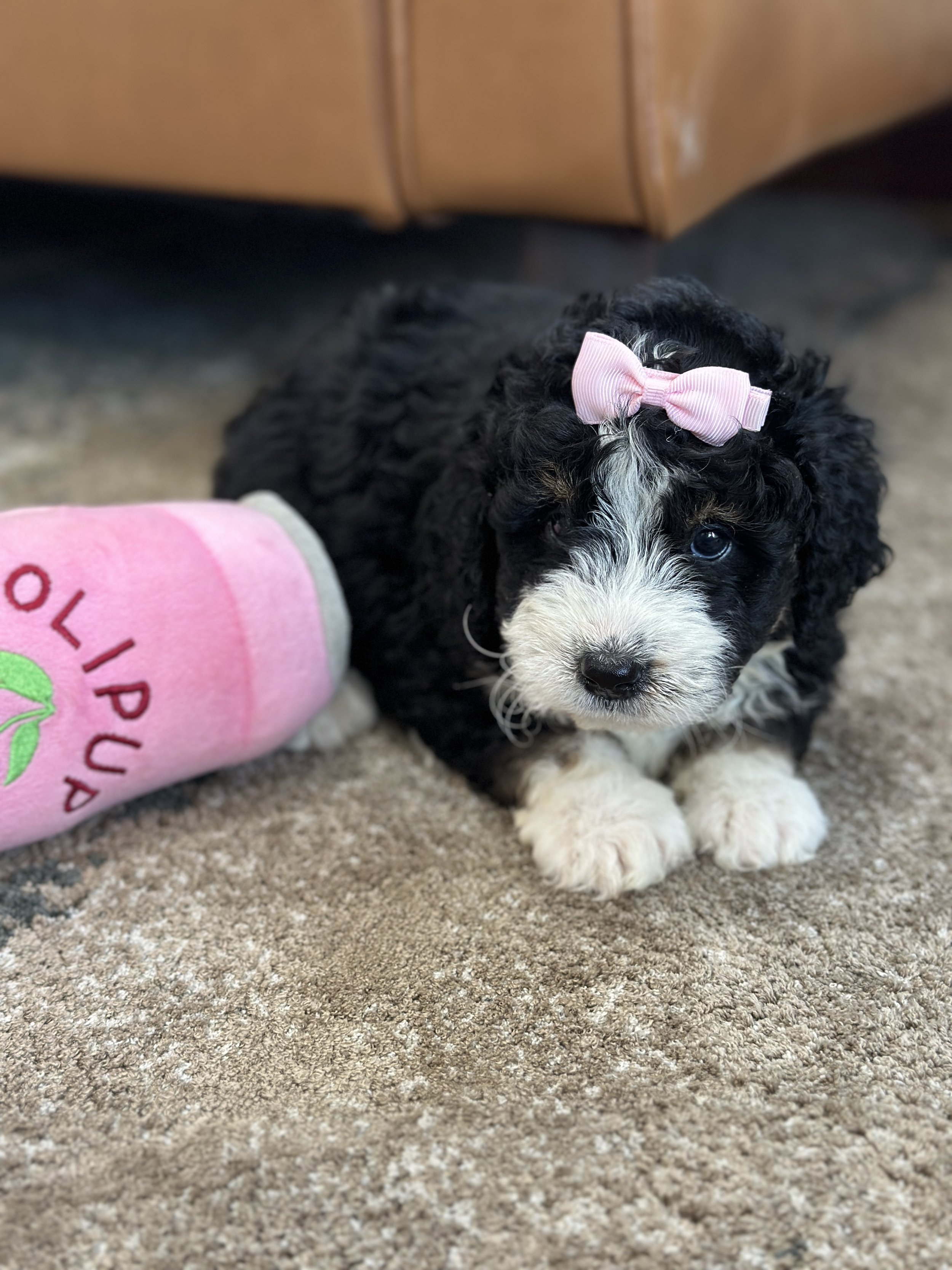 hermioneIMG_0504.jpg