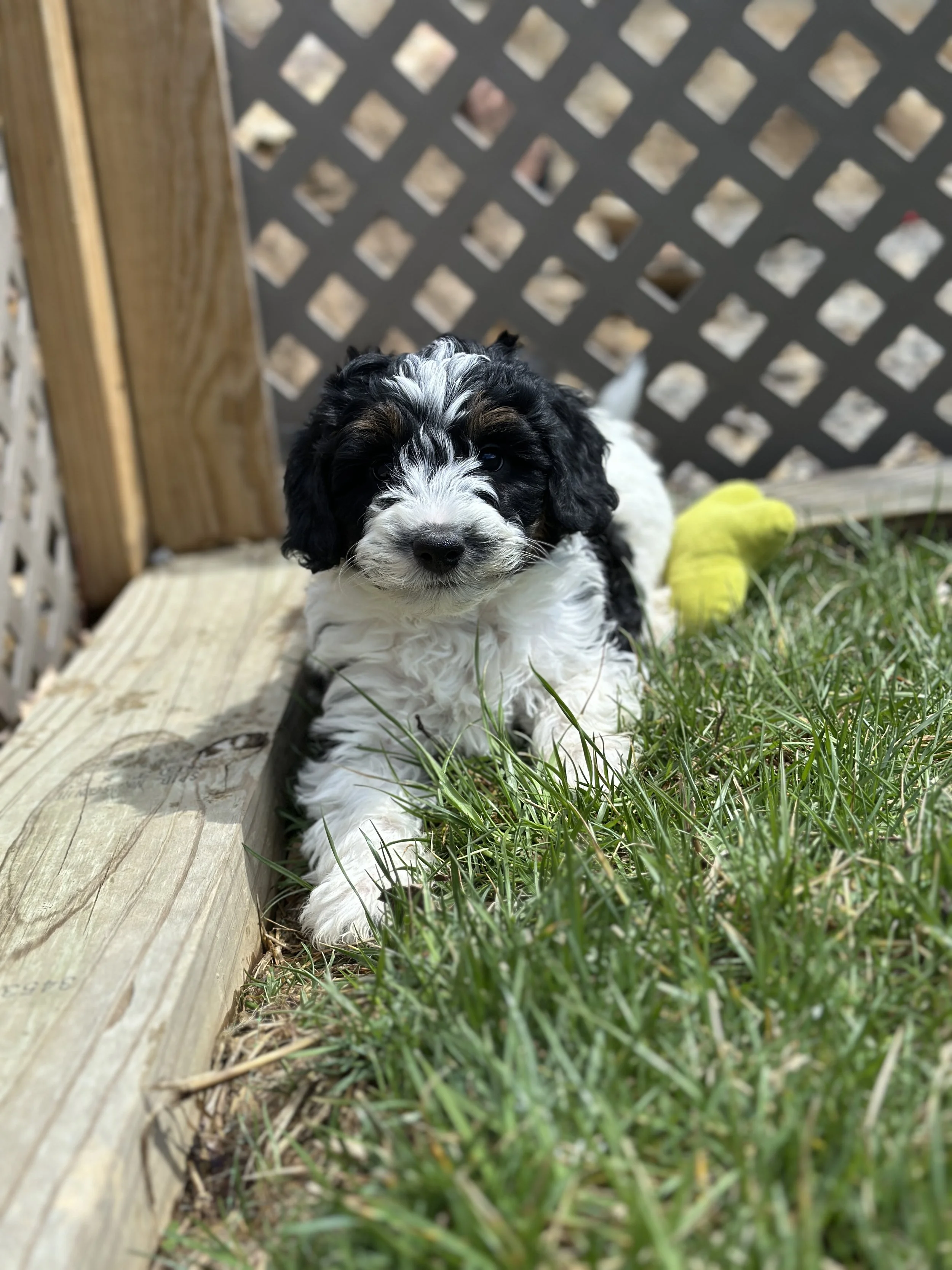 bash newIMG_9034.jpg