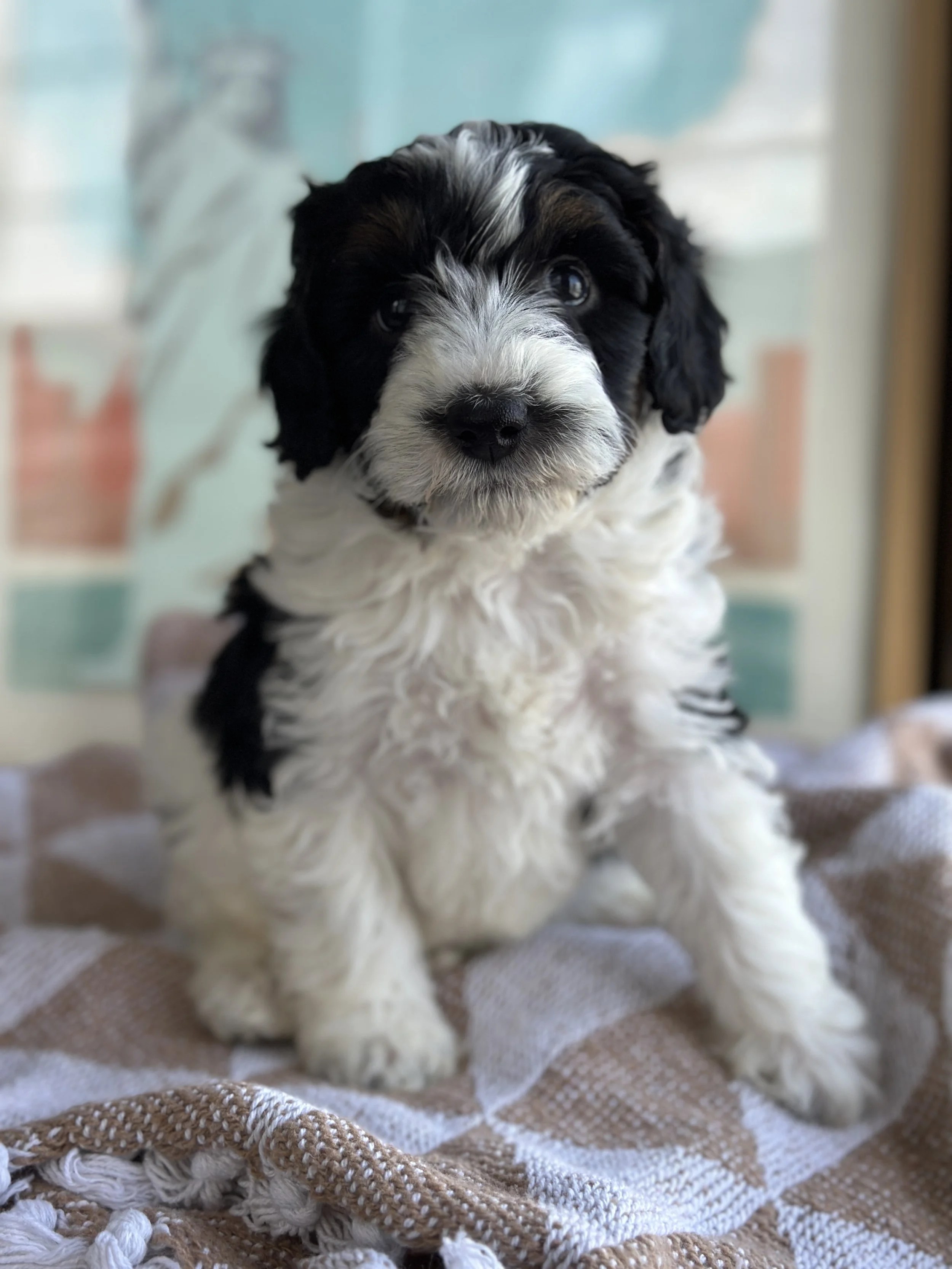 BASH NEW IMG_8760.jpg