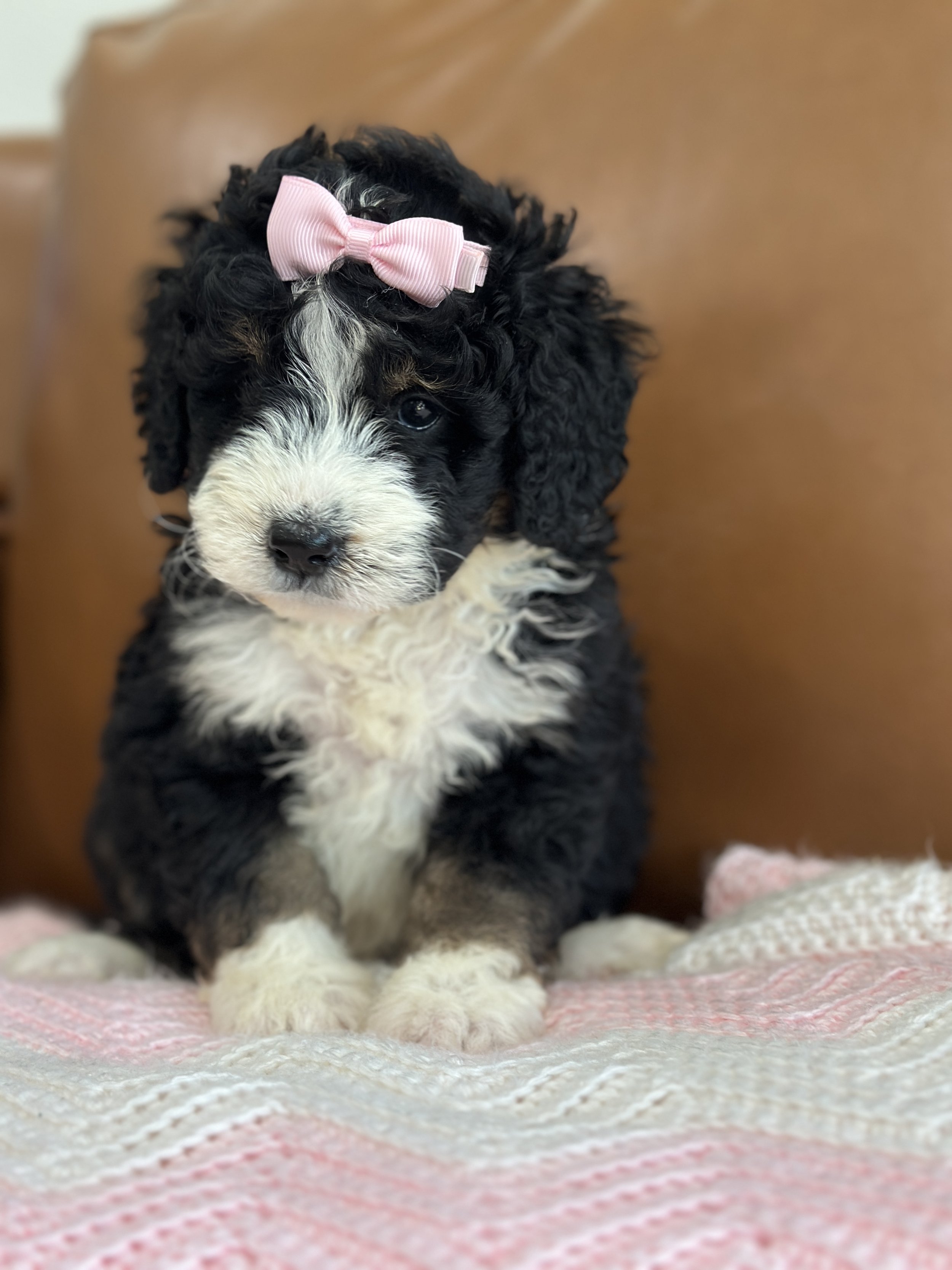 hermioneIMG_0493.jpg