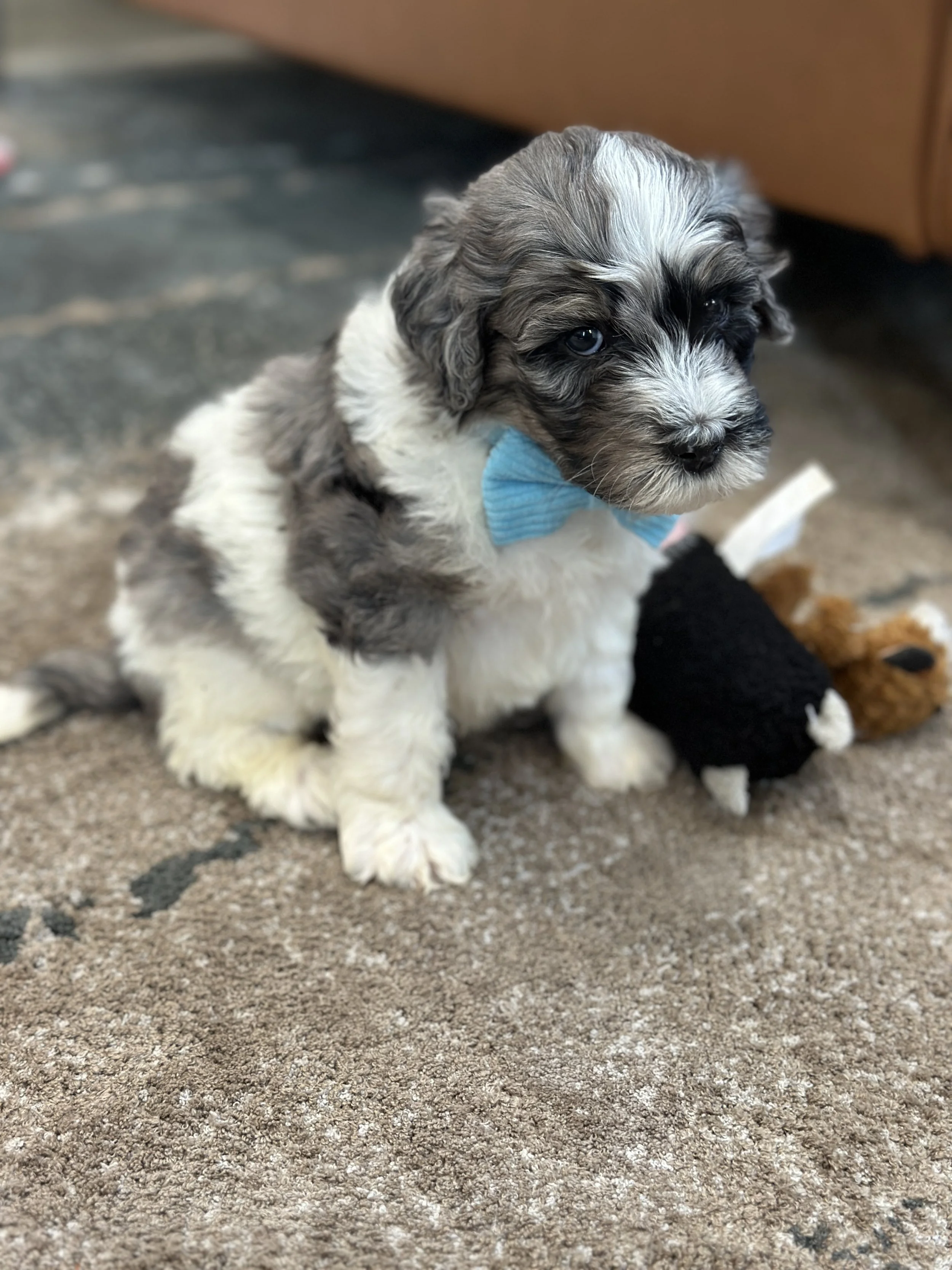 winnieIMG_0592.jpg