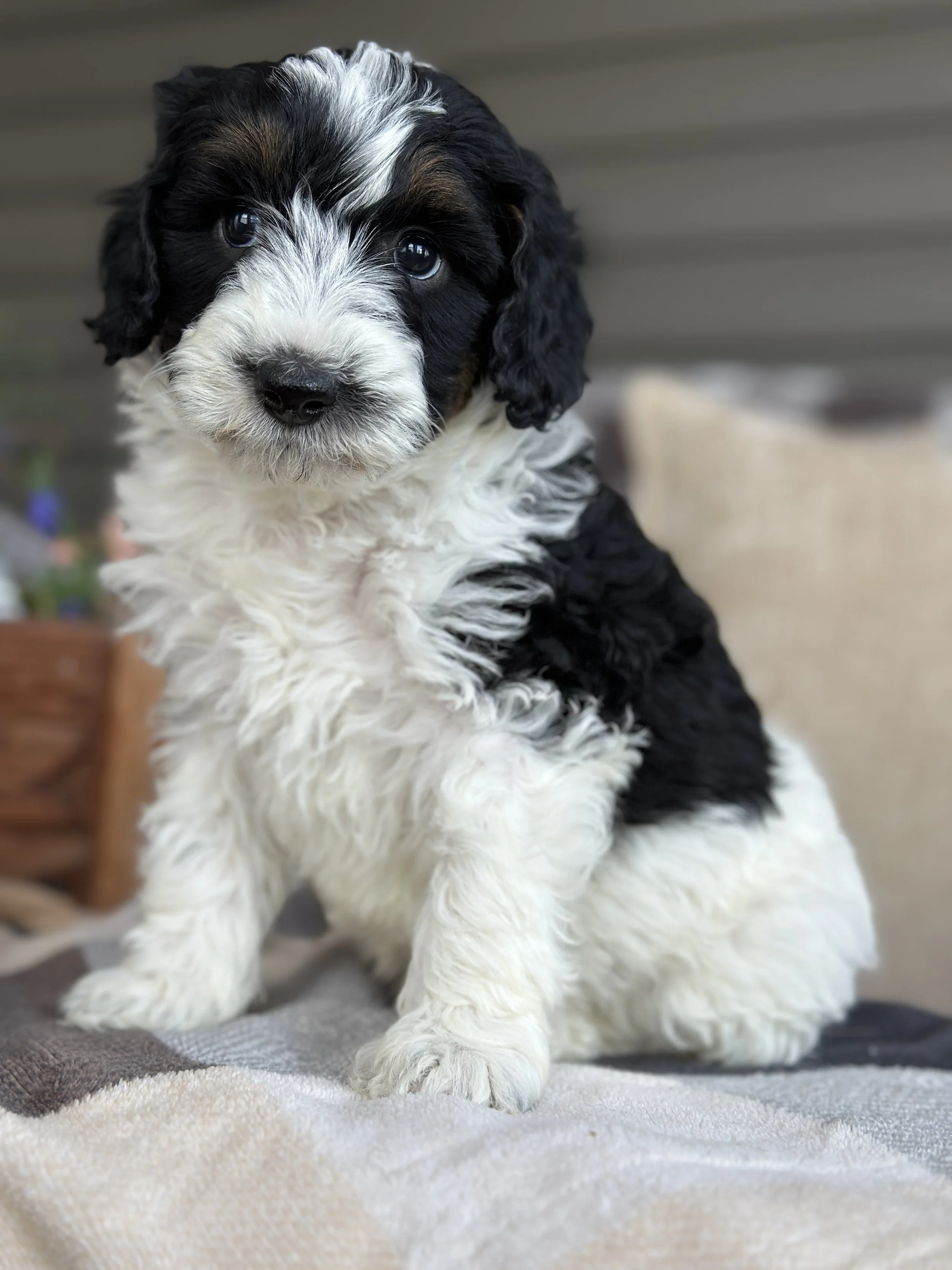 BASH NEW IMG_8773.jpg