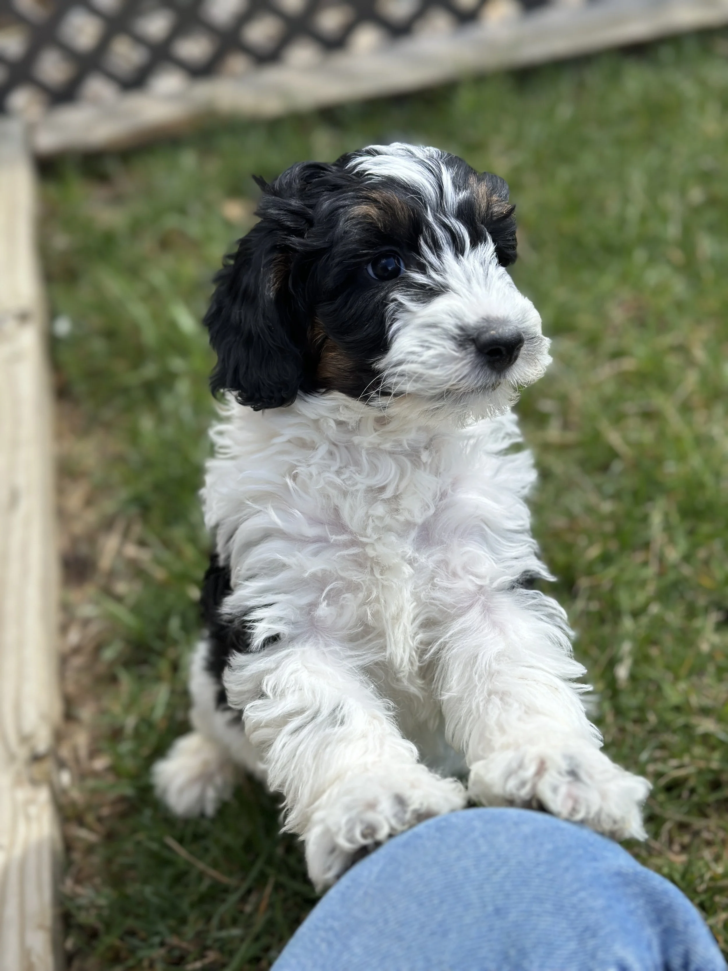 bash newIMG_9015.jpg