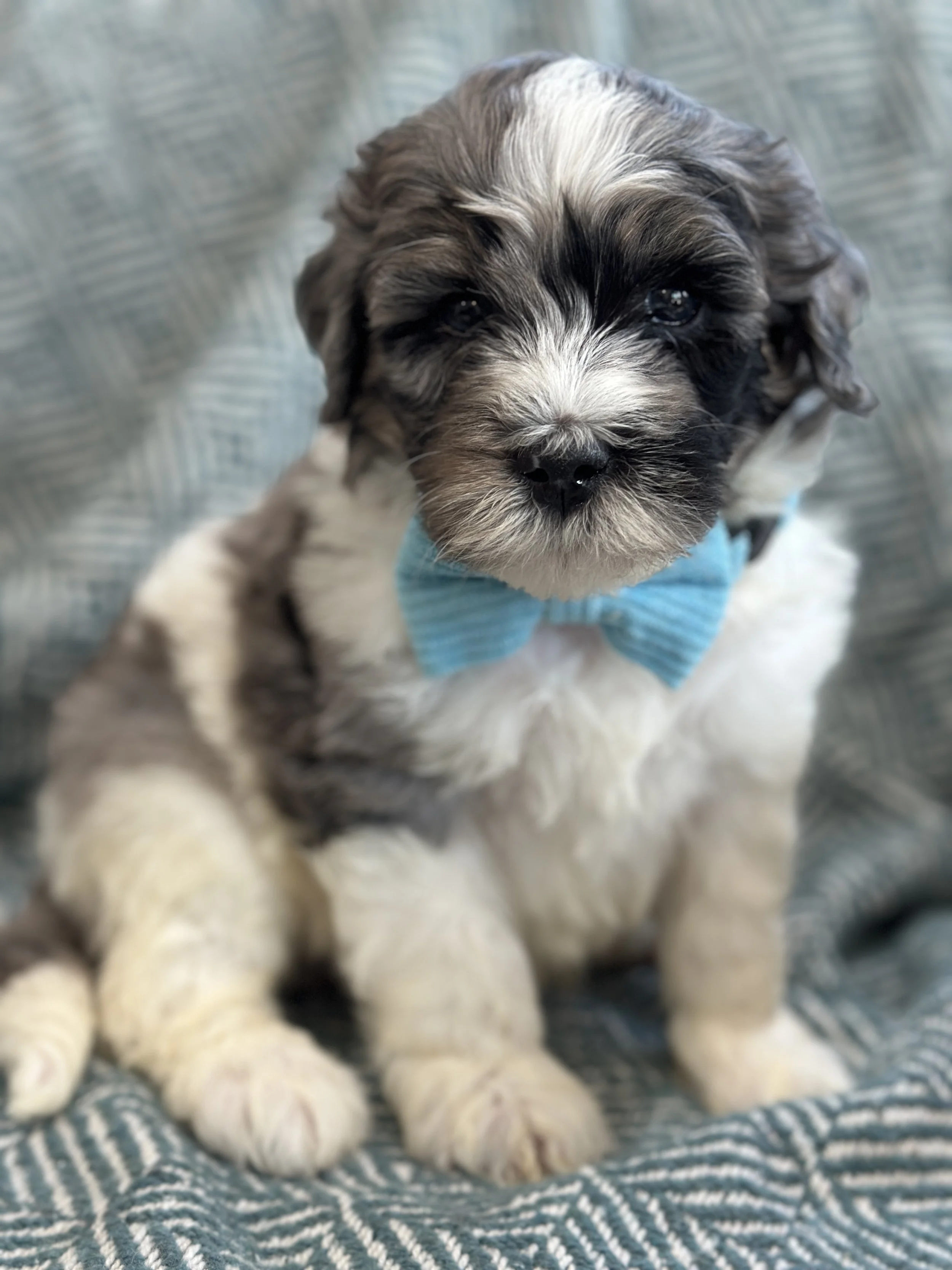 winnieIMG_0584.jpg