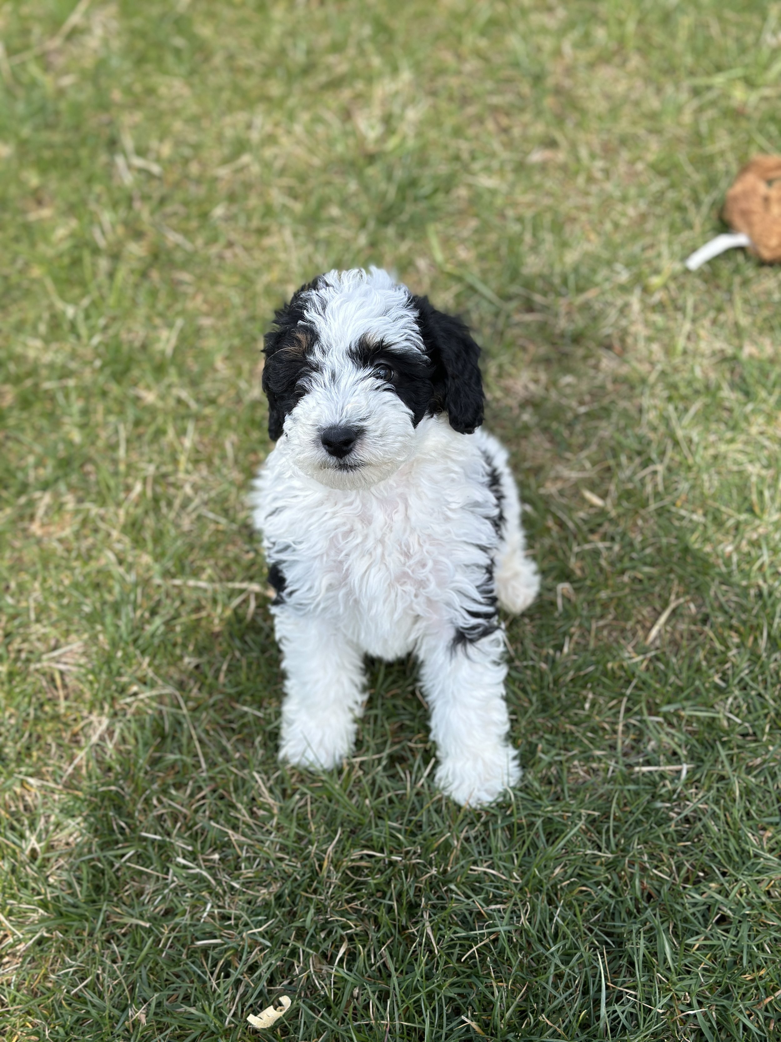 miller new IMG_9049.jpg