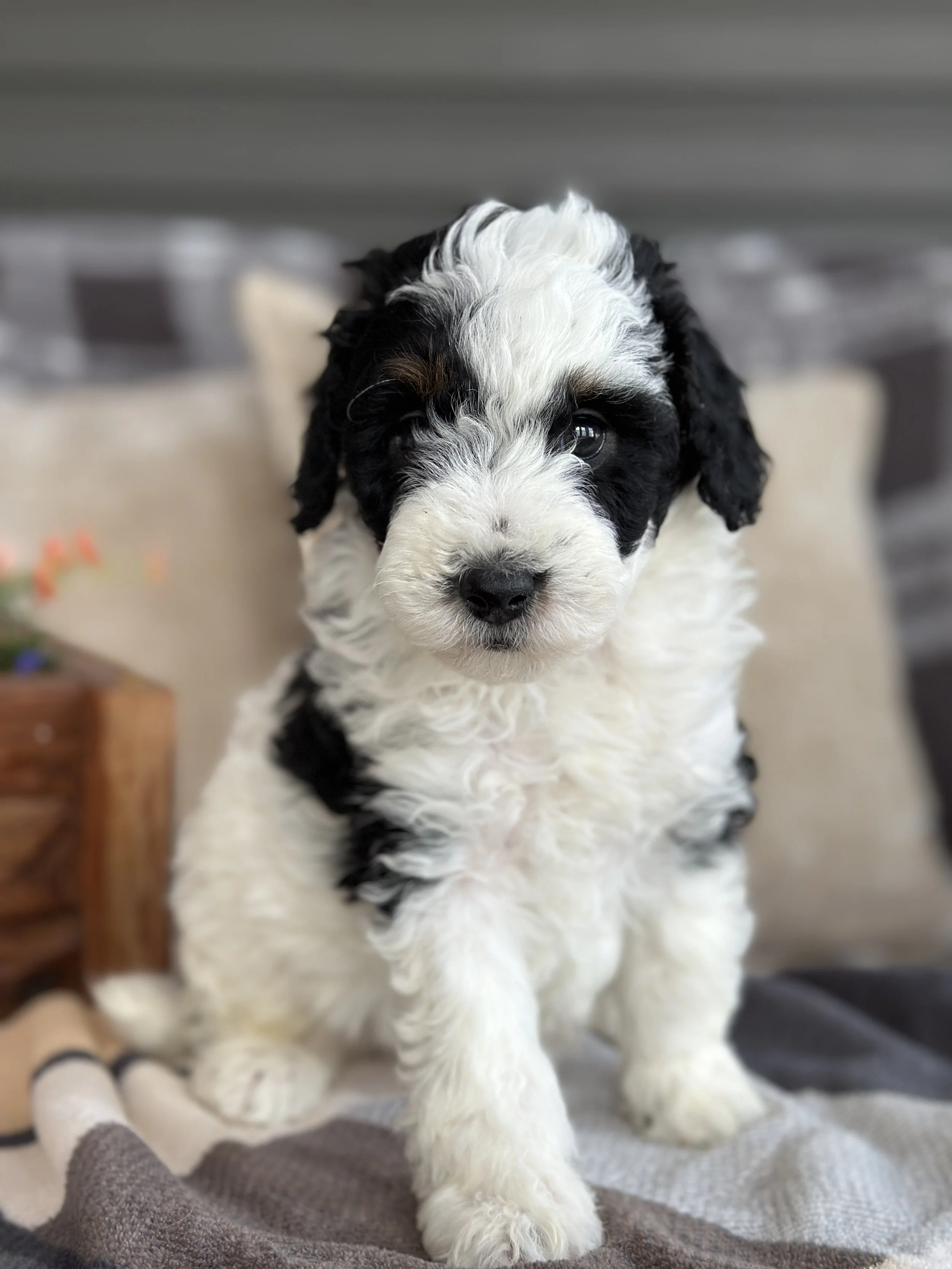 MILLER NEWIMG_8825.jpg