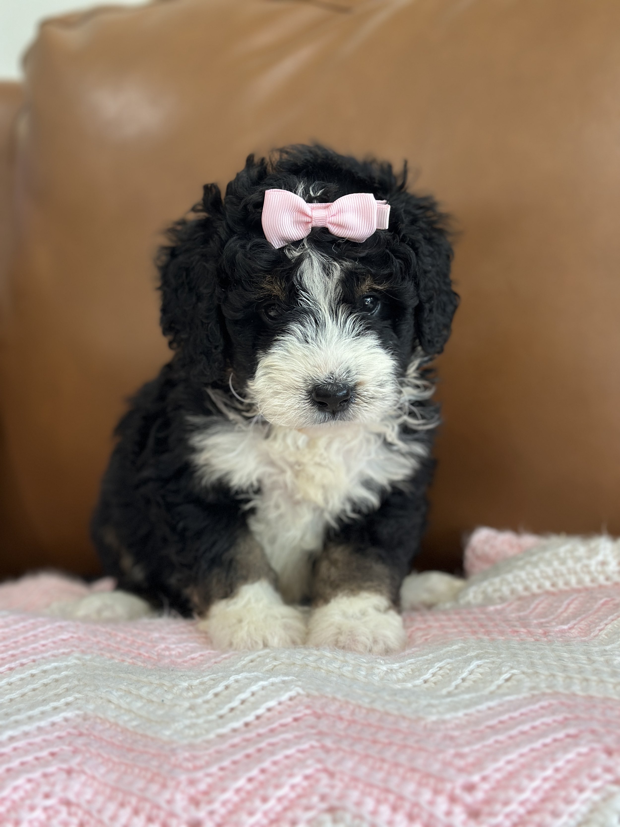 hermioneIMG_0490.jpg