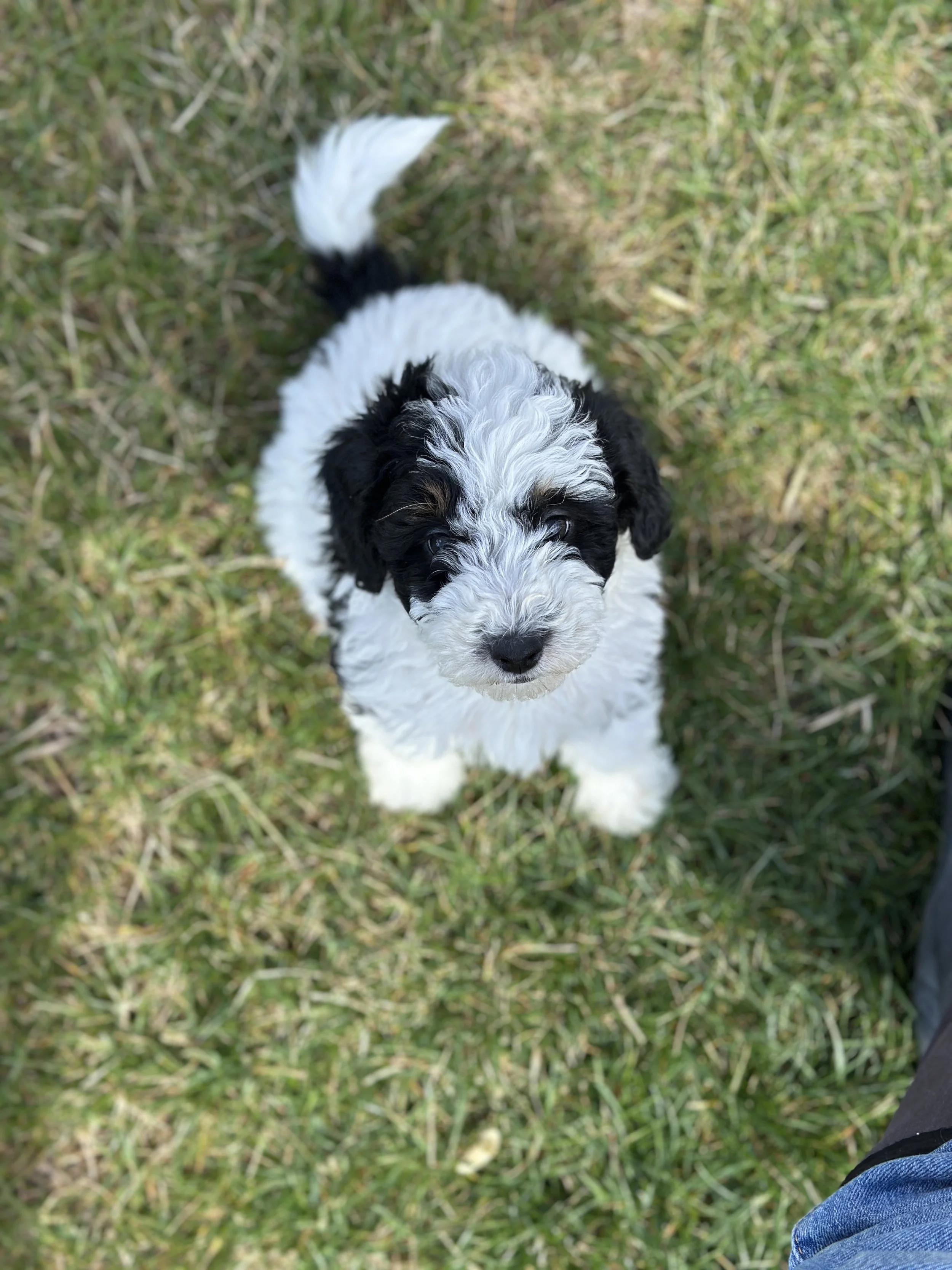 miller new IMG_9048.jpg