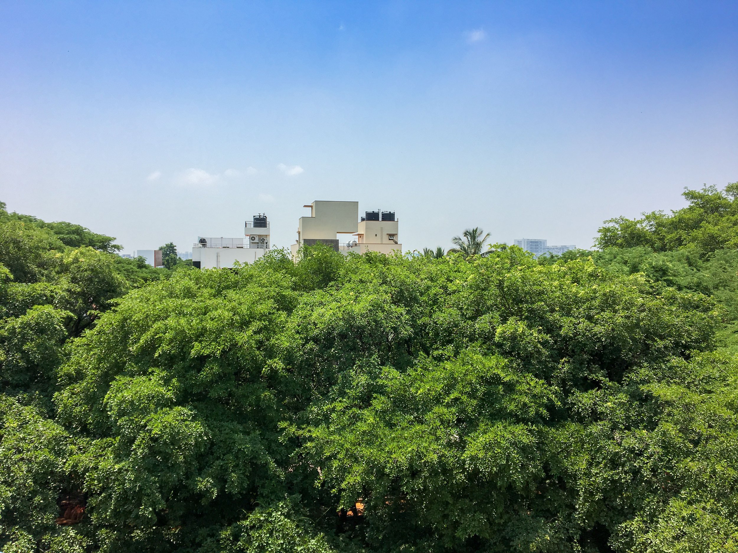 From the 'Namma Bengaluru' exhibit by Shravanthi Kanekal