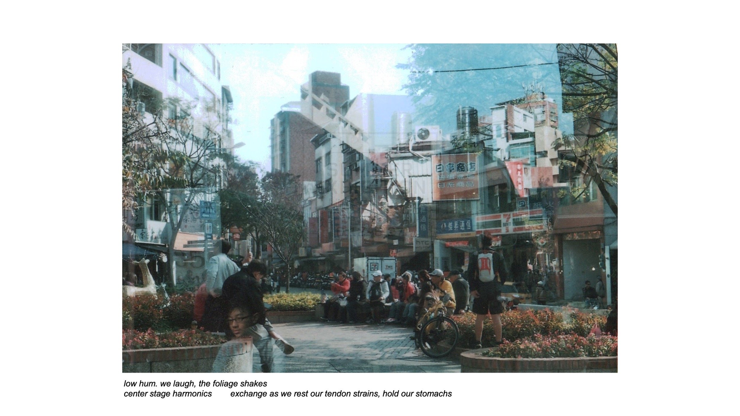 From the 'Multitudes' exhibit by Allison Lau