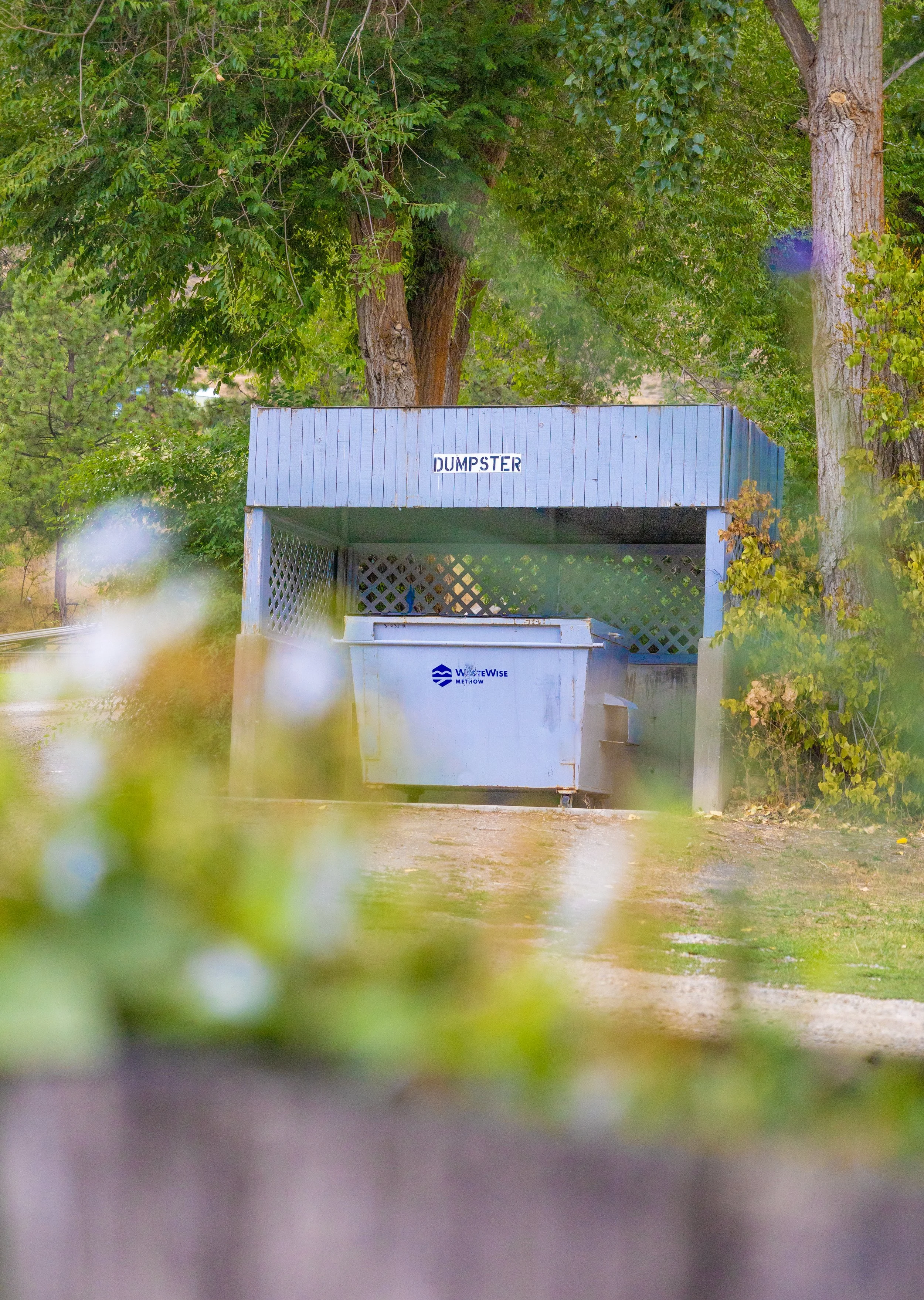 Dumpster - 2025.jpg