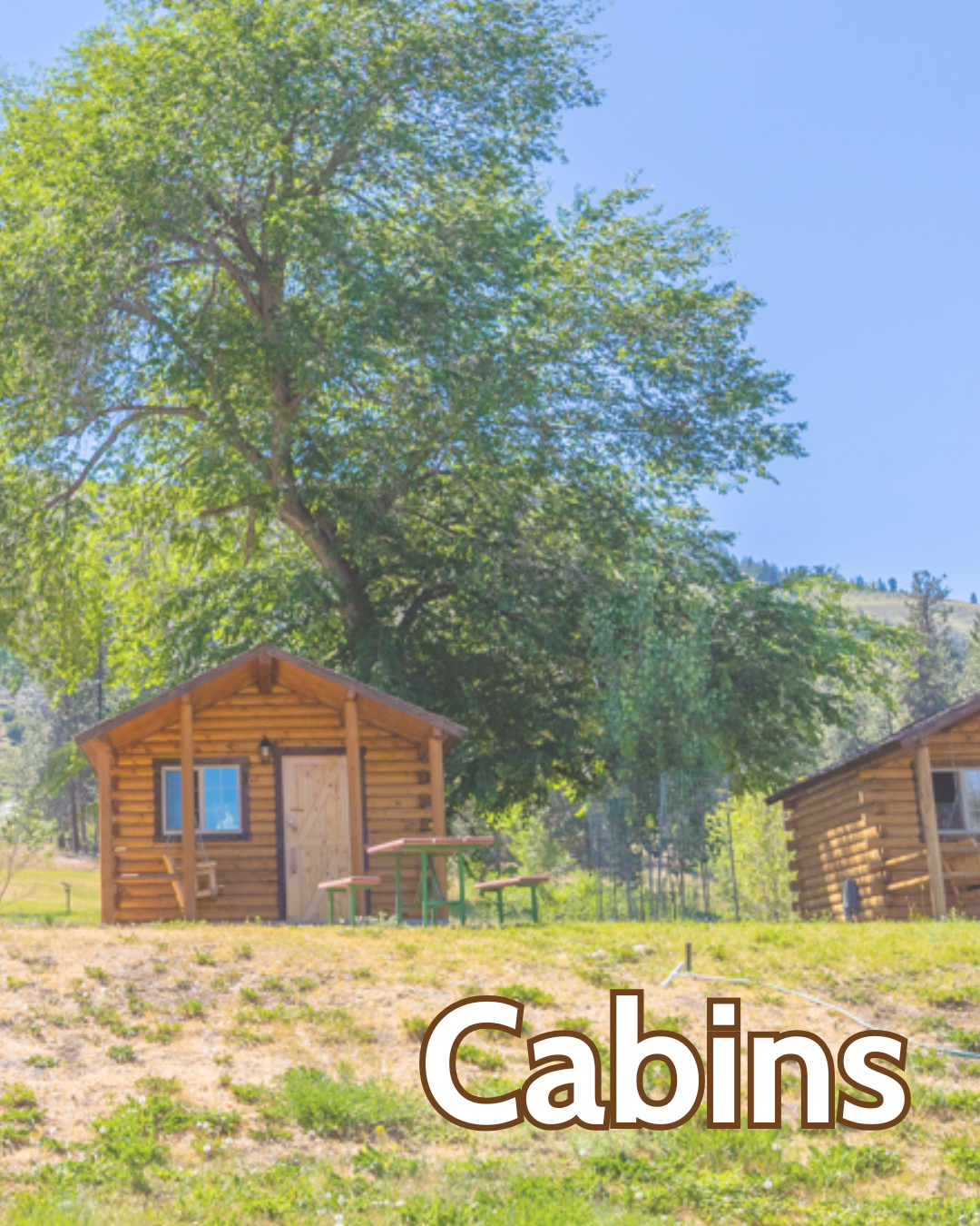 Cabins.png