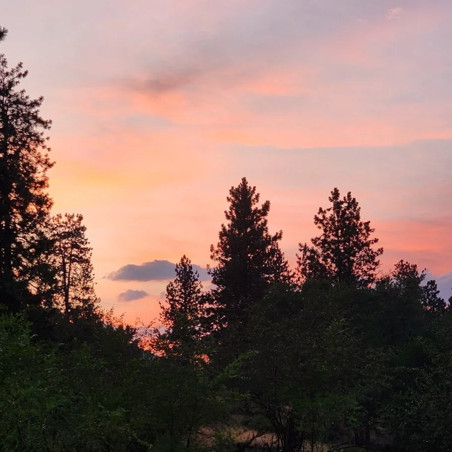sun set at the lake.jpg