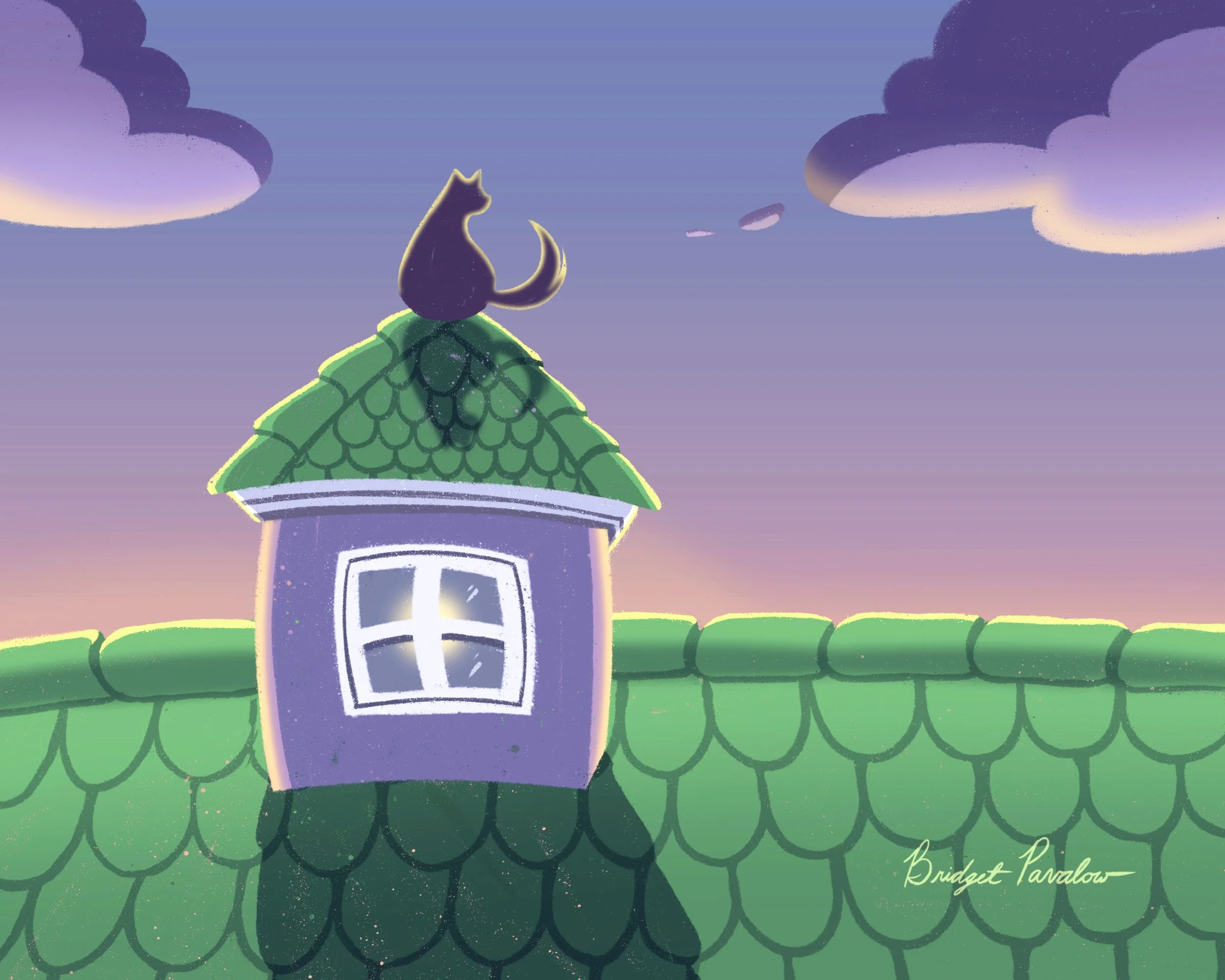 cat sunset.jpg
