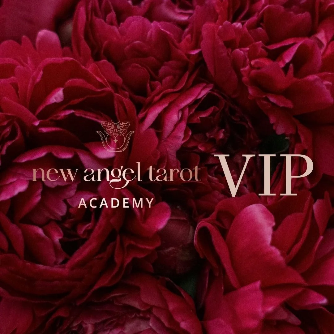 VIP Personal Consultancy &middot; 25-Week Initiation

This is an invitation into a deeply personal, high-touch consultancy designed for those who are ready to integrate spiritual intelligence with real-world mastery. Over 25 weeks, this VIP experienc