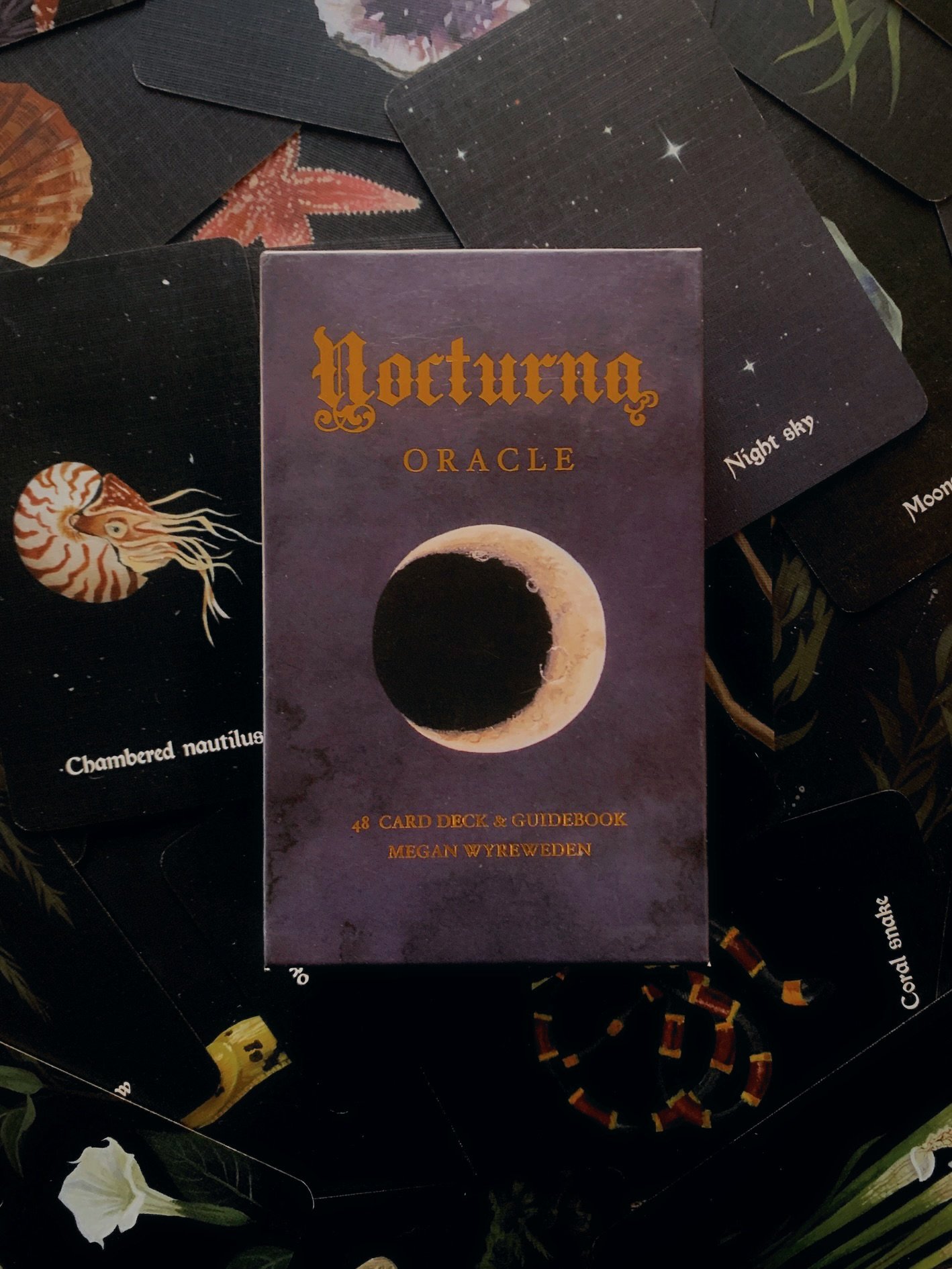 Nocturna Oracle Deck & Guidebook