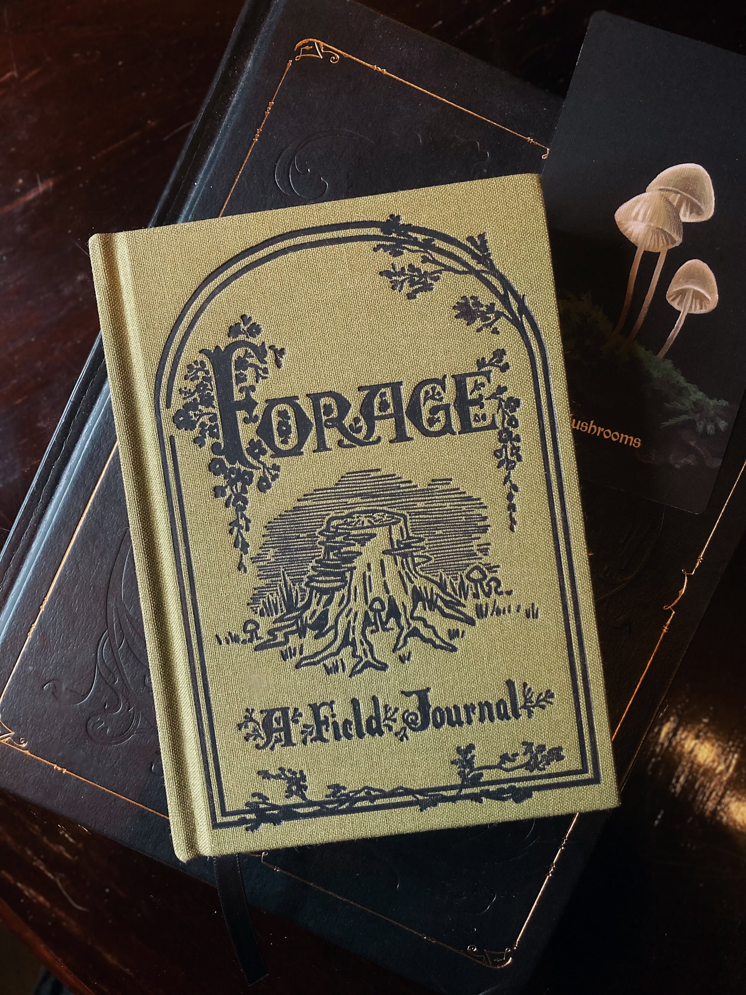 Forager Notebook