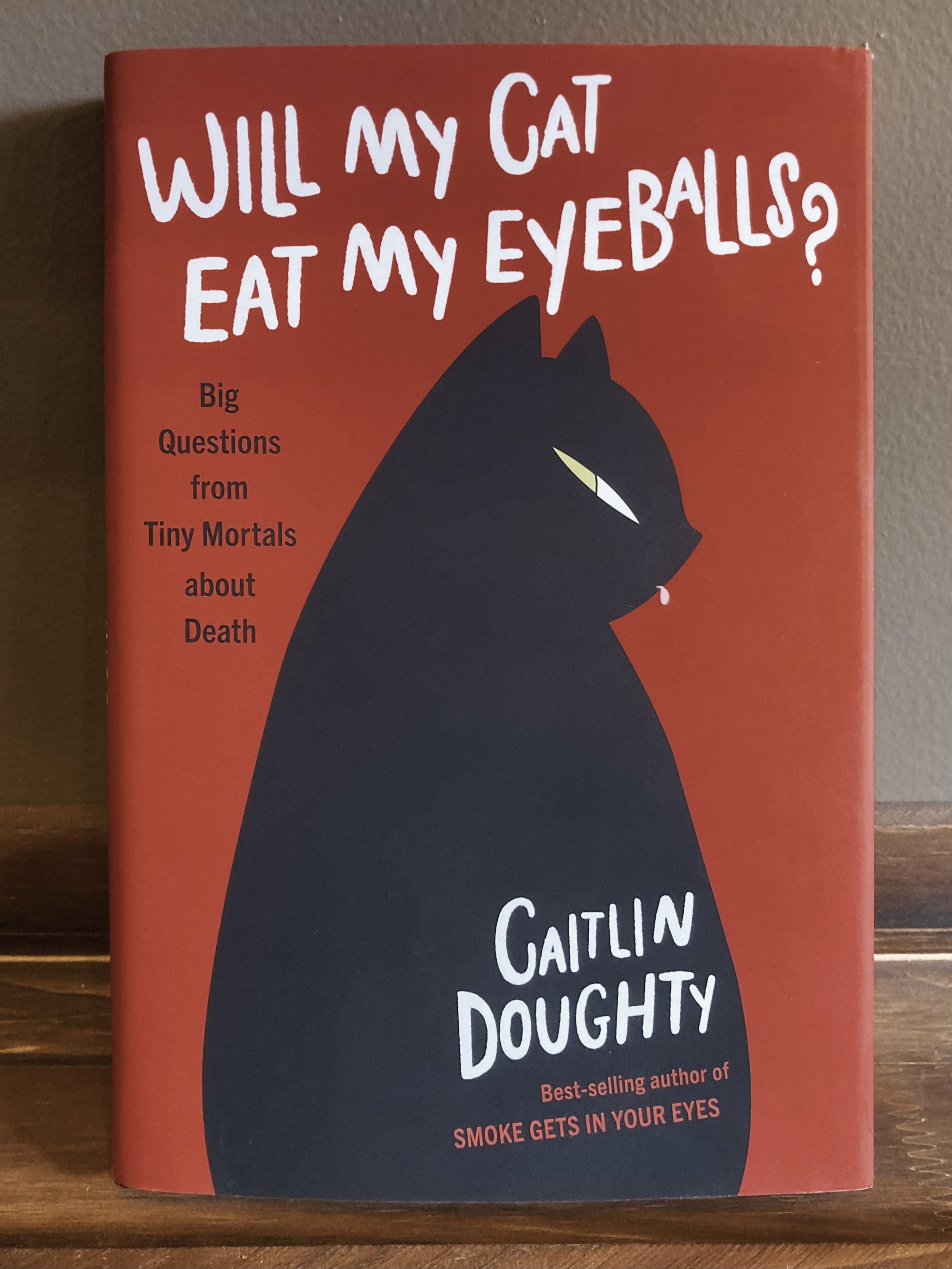 Will My Cat Eat My Eyeballs? Big Questions From Tiny Mortals About Death