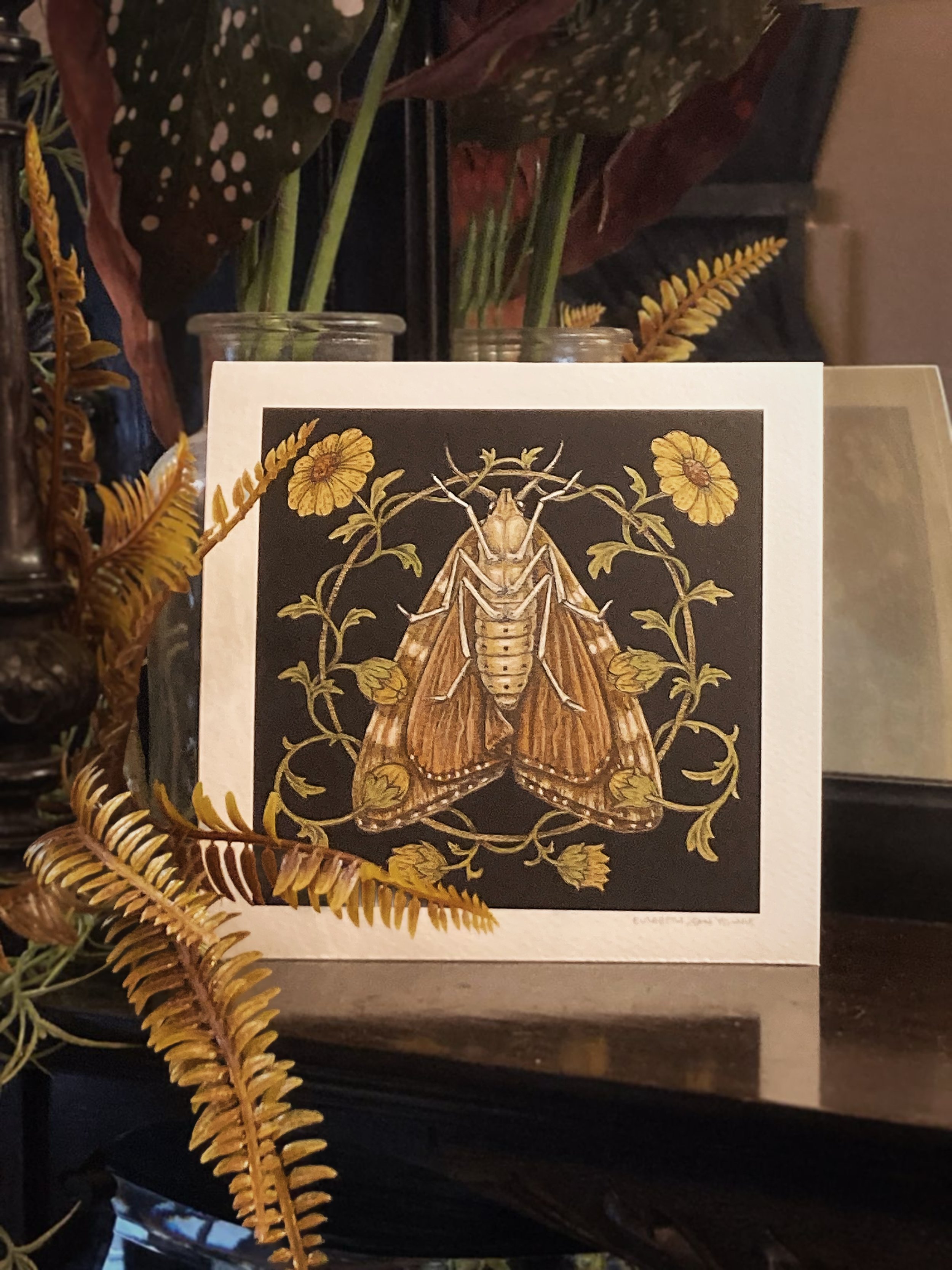 “Moth” Giclee Art Print
