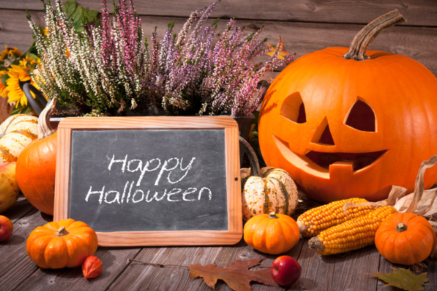 Halloween Trick or Treat