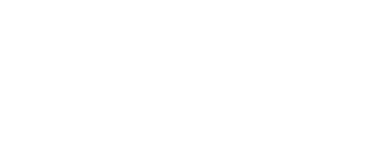 bsff.png