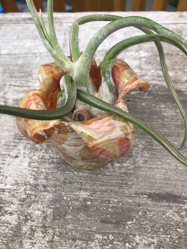 https://i.etsystatic.com/5366135/r/il/88b351/2079135127/il_fullxfull.2079135127_nrtj.jpg