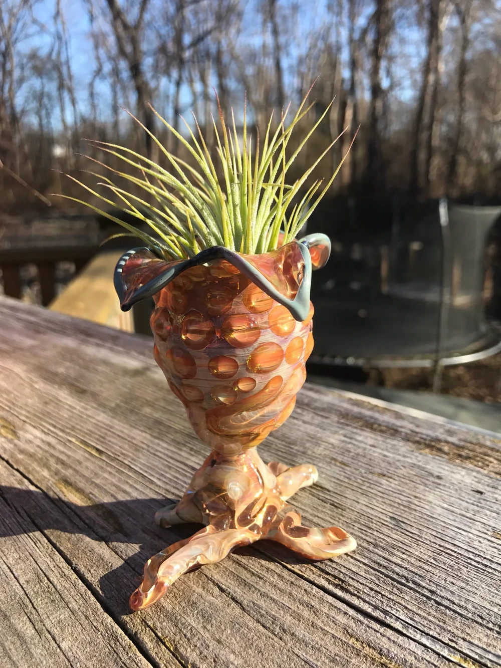 Ovomorph Glass Terrarium | Alien Air Plant Terrarium | Air Plant Holder |  Indoor or Outdoor Planter | Borosilicate Terrarium  Our Glass Creations