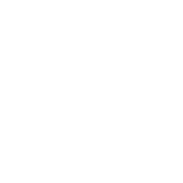 A white T-shirt with a small graphic of a dog and the word 'WONDER' printed below it.