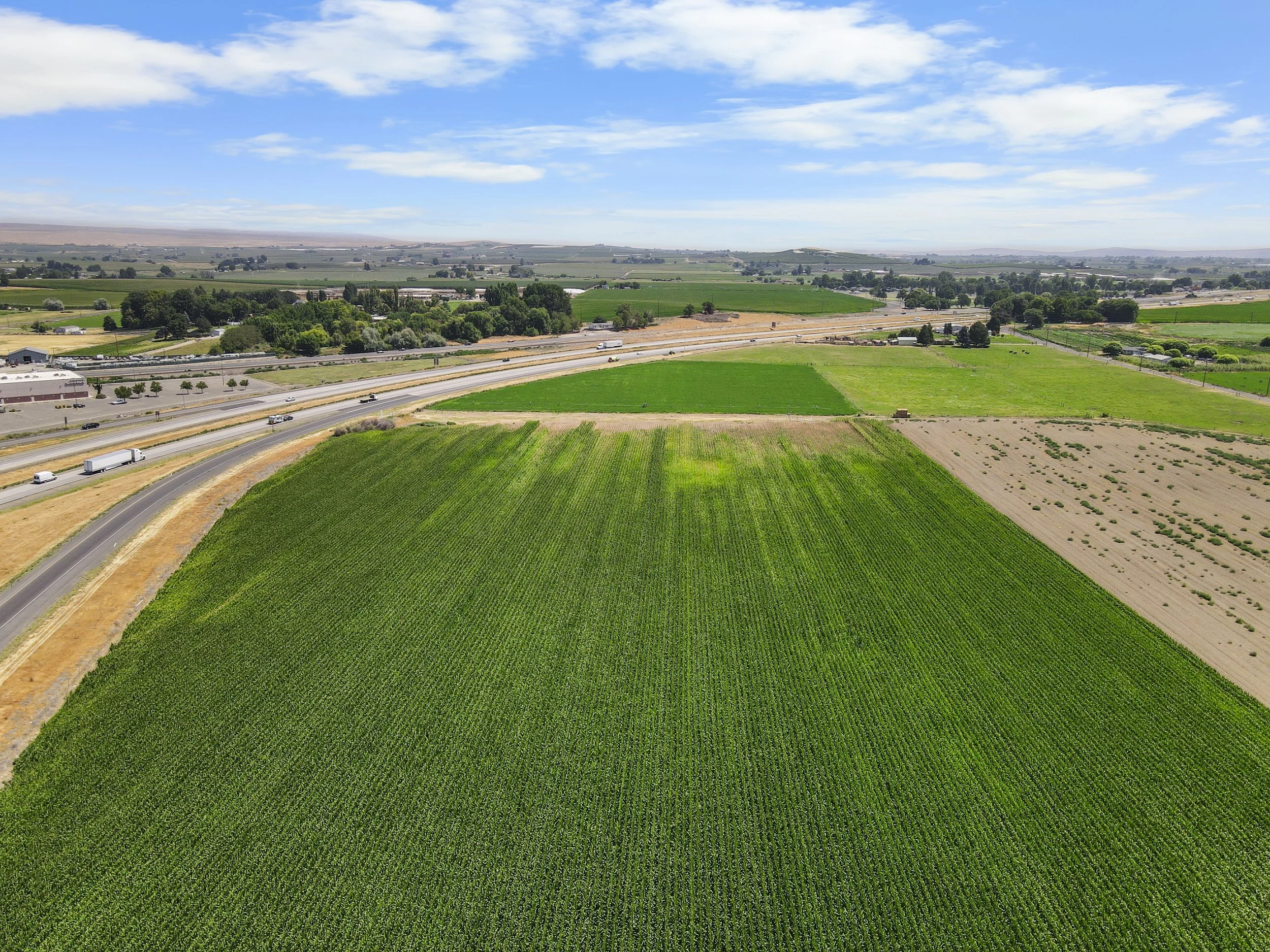 DJI_0490.jpg